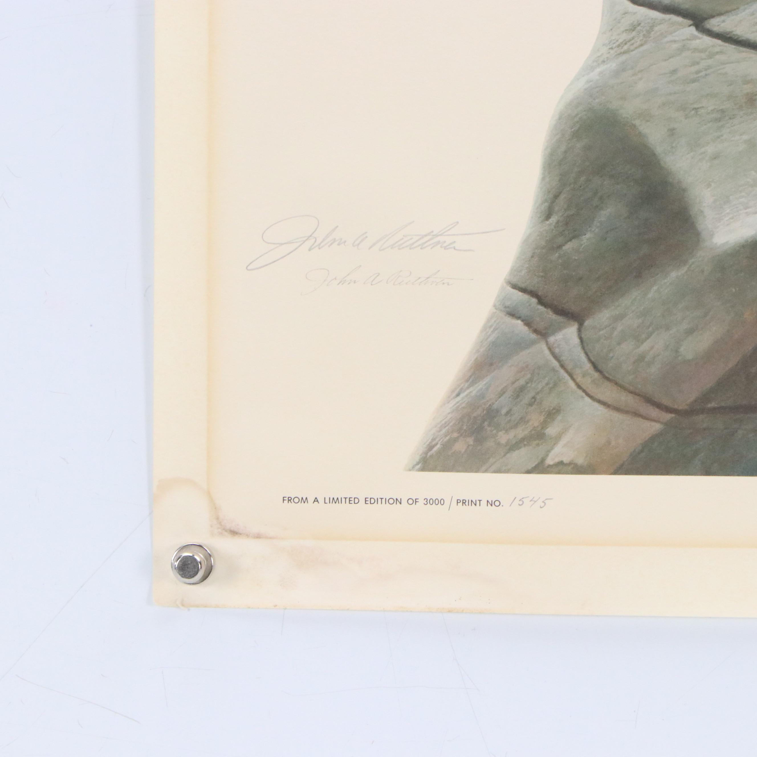 John Ruthven Offset Lithograph "Bufflehead Duck"