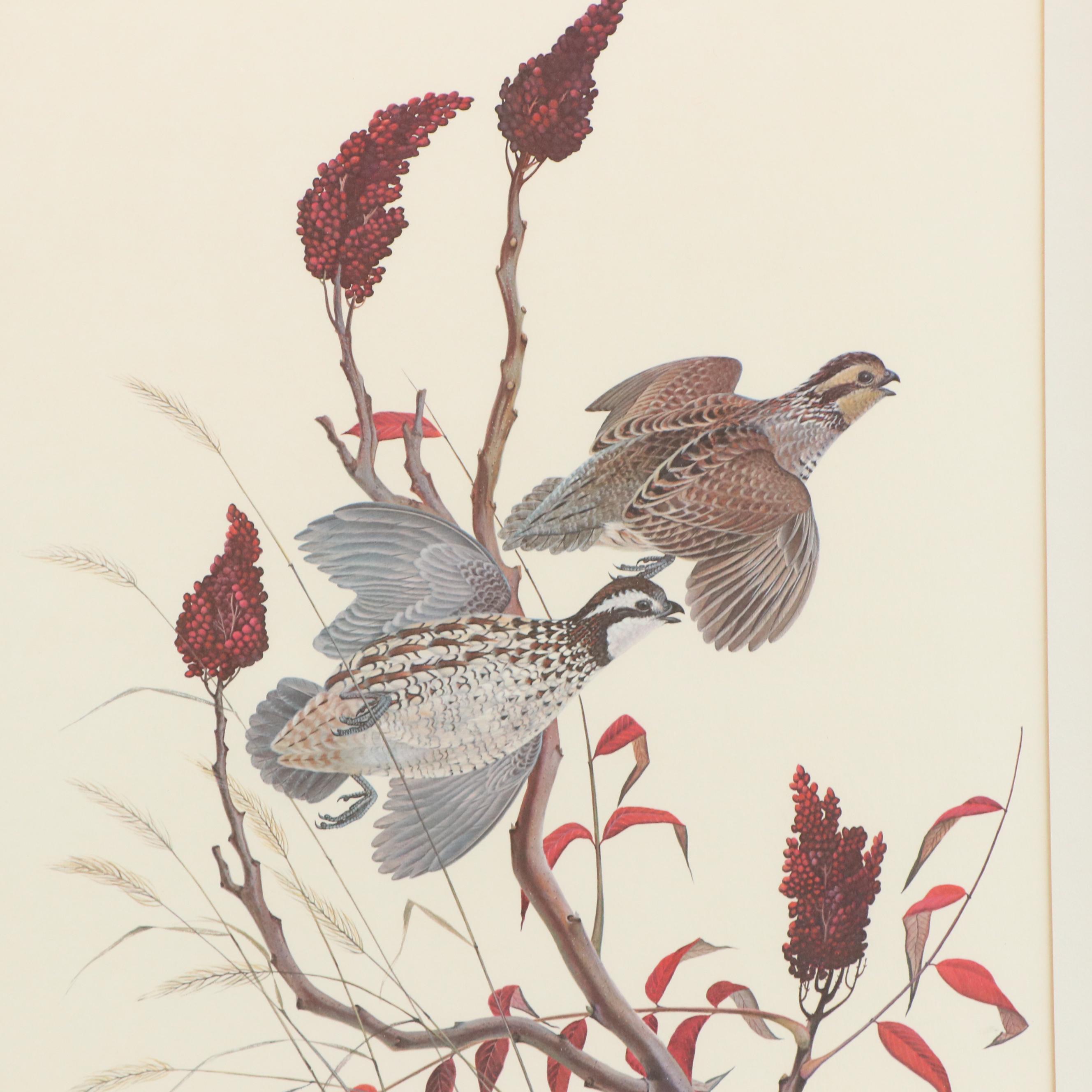John A. Ruthven Offset Lithograph "Bobwhite Quail"