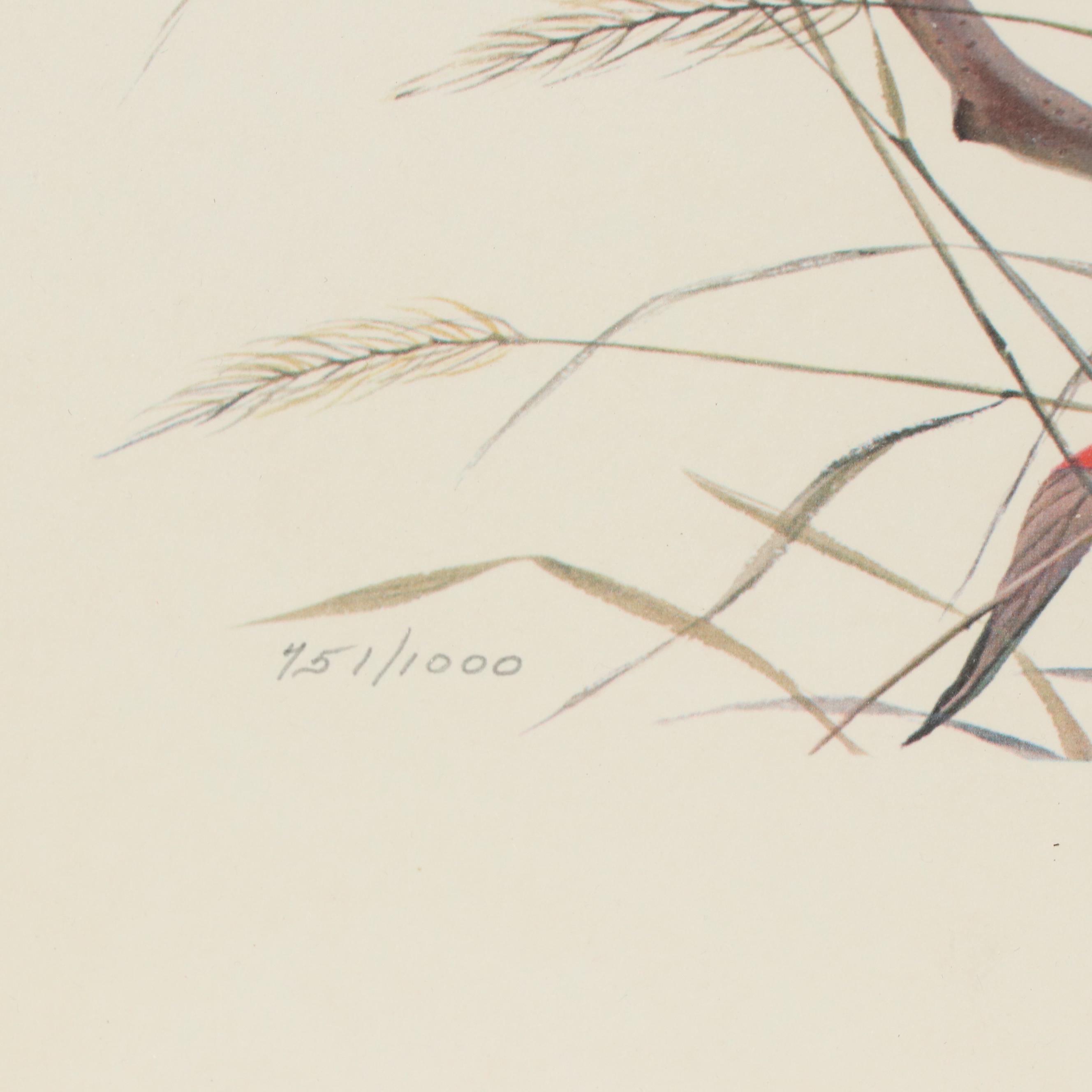 John A. Ruthven Offset Lithograph "Bobwhite Quail"