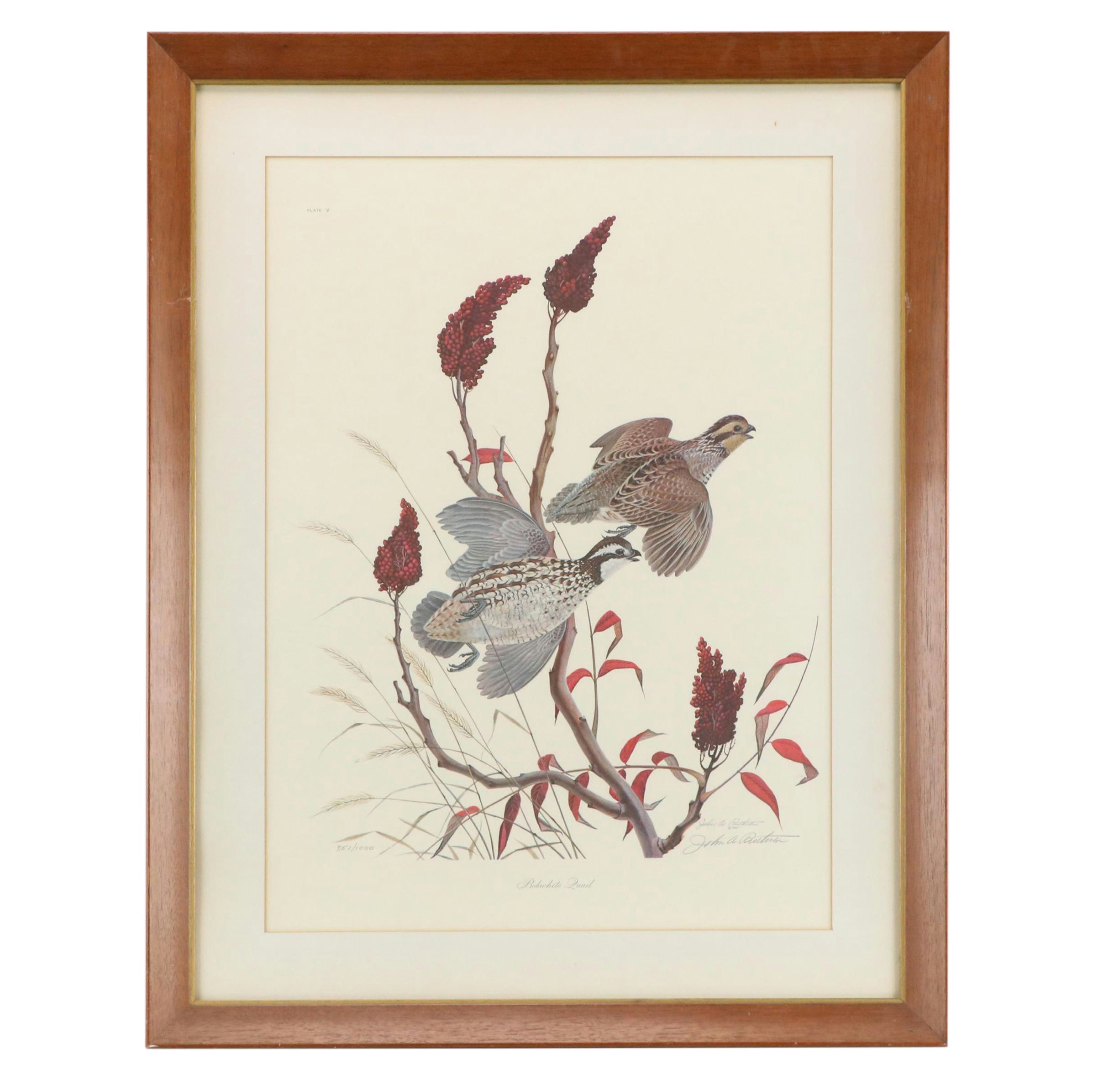 John A. Ruthven Offset Lithograph "Bobwhite Quail"