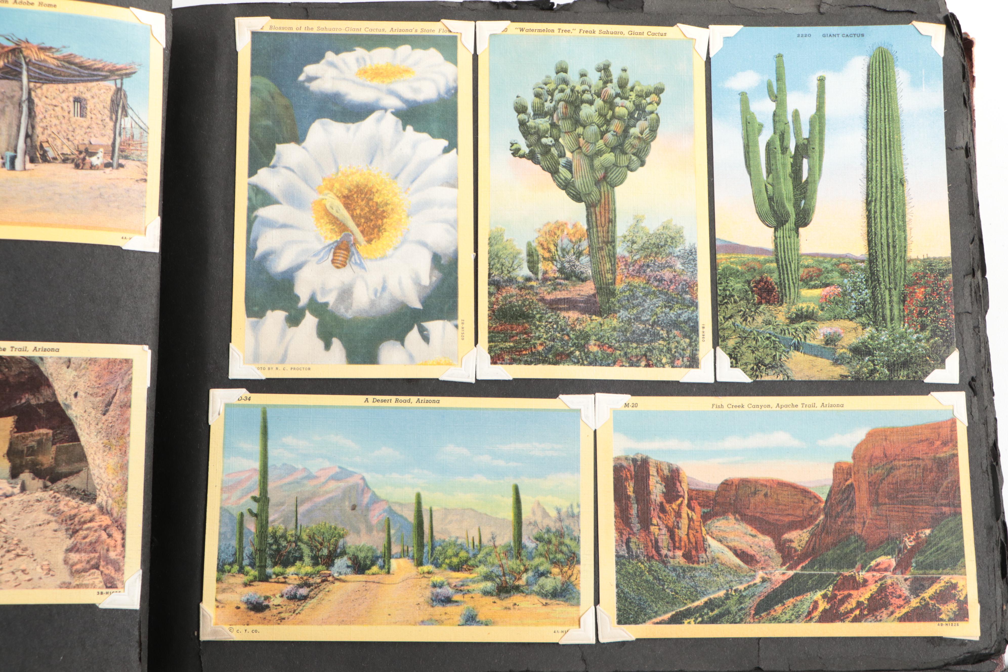 Florida, Colorado, Canada and More Souvenir Postcards, Mid-20th Century