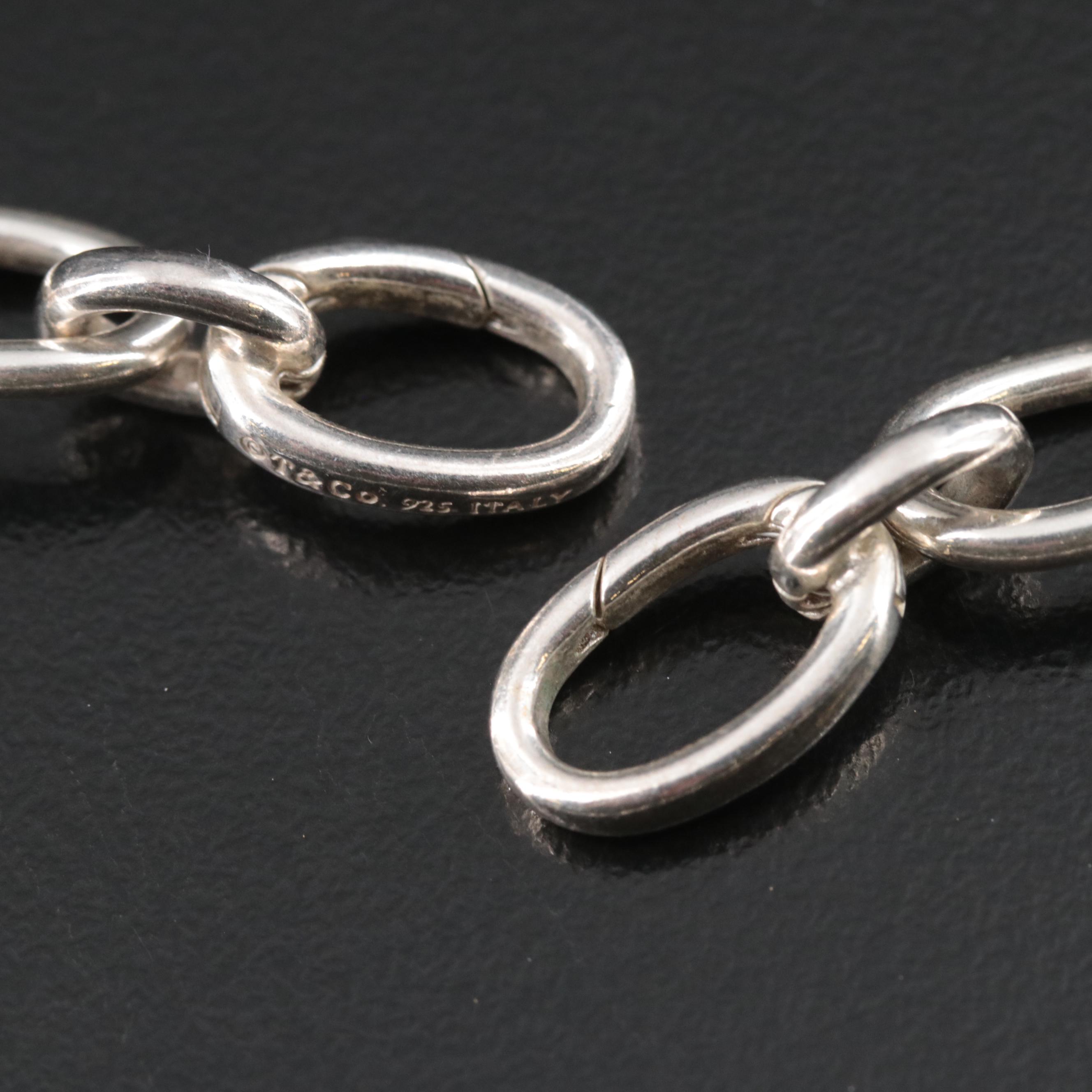 Tiffany & Co. Sterling Oval Clasping Link Necklace
