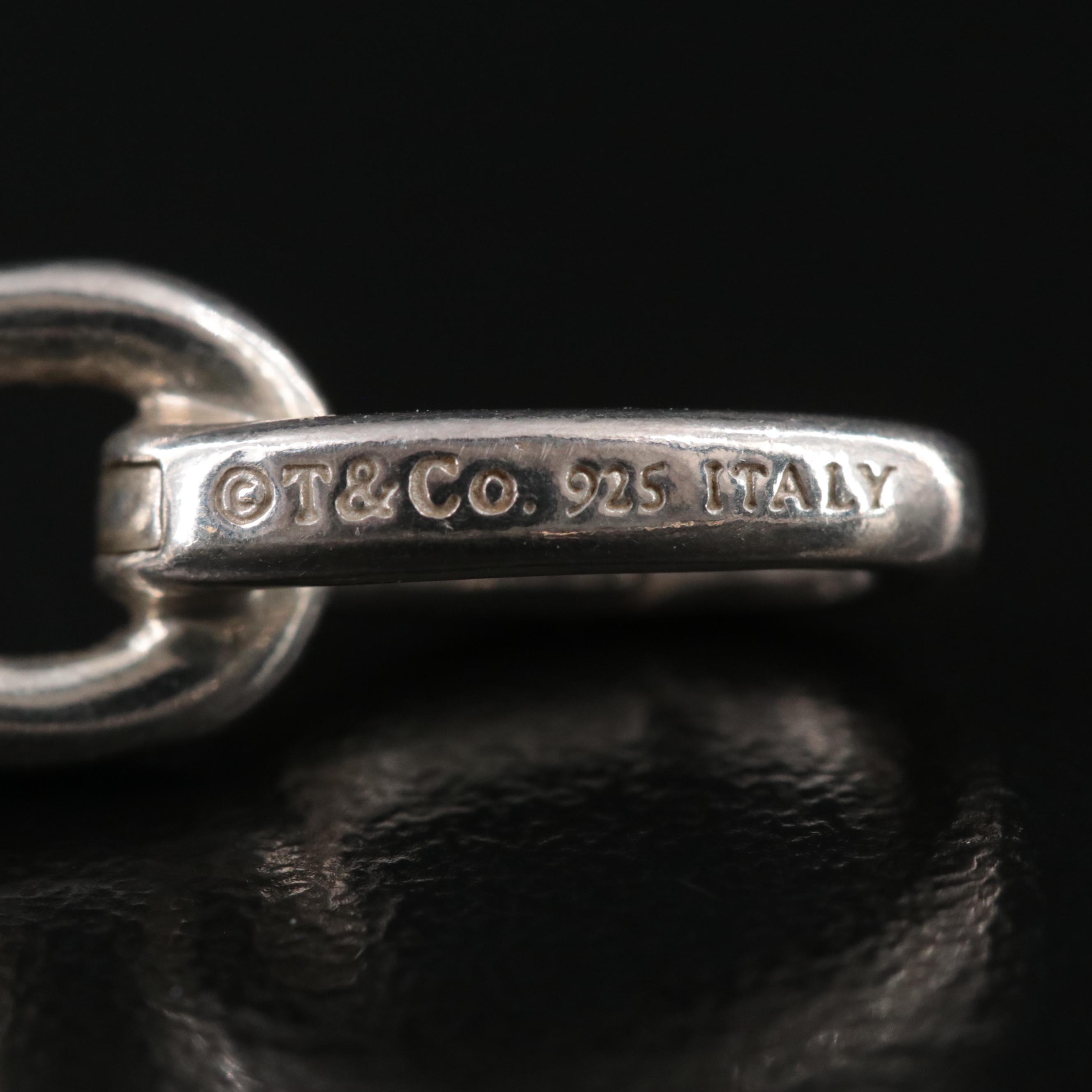 Tiffany & Co. Sterling Oval Clasping Link Necklace