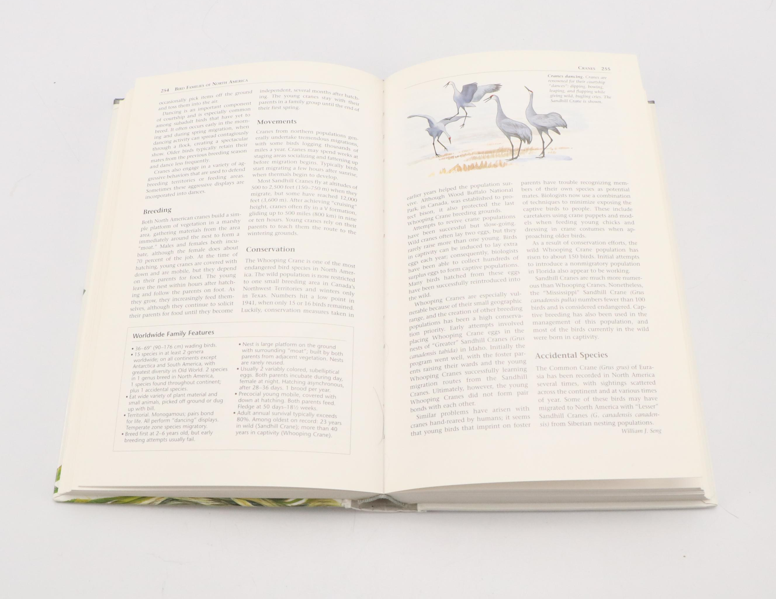 First Edition "Fine Bird Books, 1700–1900" by Sitwell and More Books