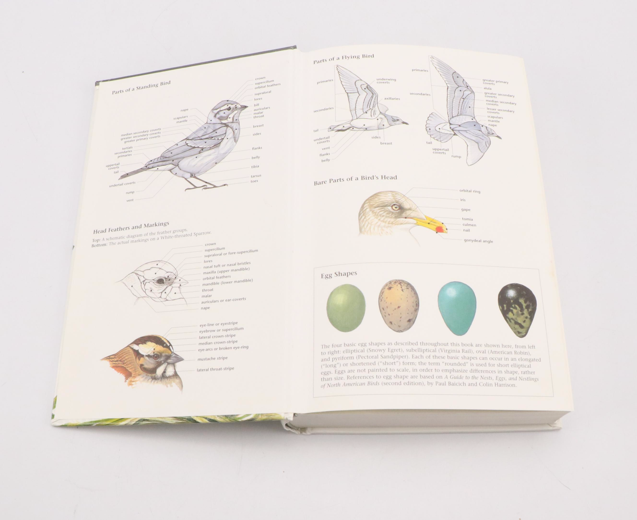 First Edition "Fine Bird Books, 1700–1900" by Sitwell and More Books