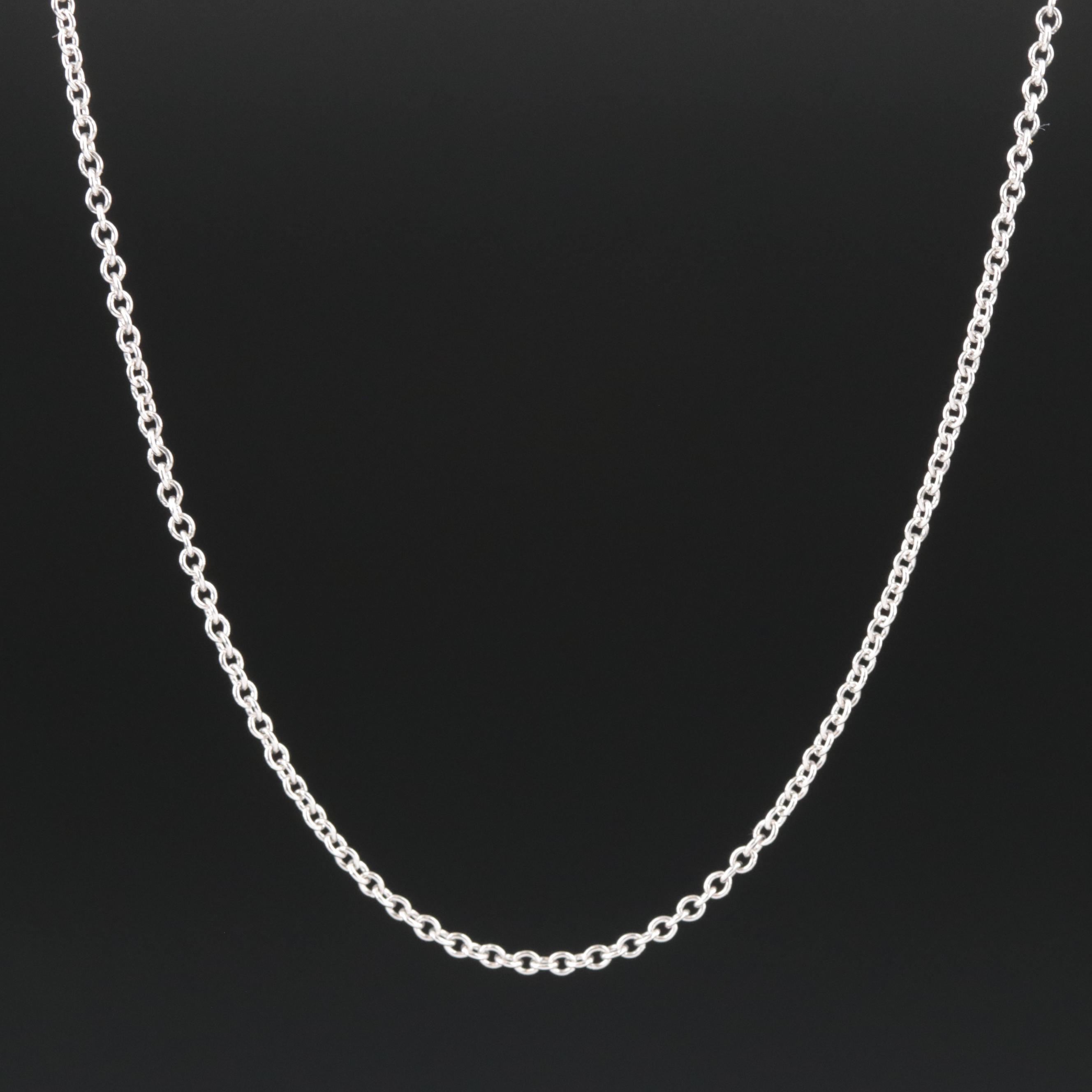 Tiffany & Co. Platinum Chain Necklace