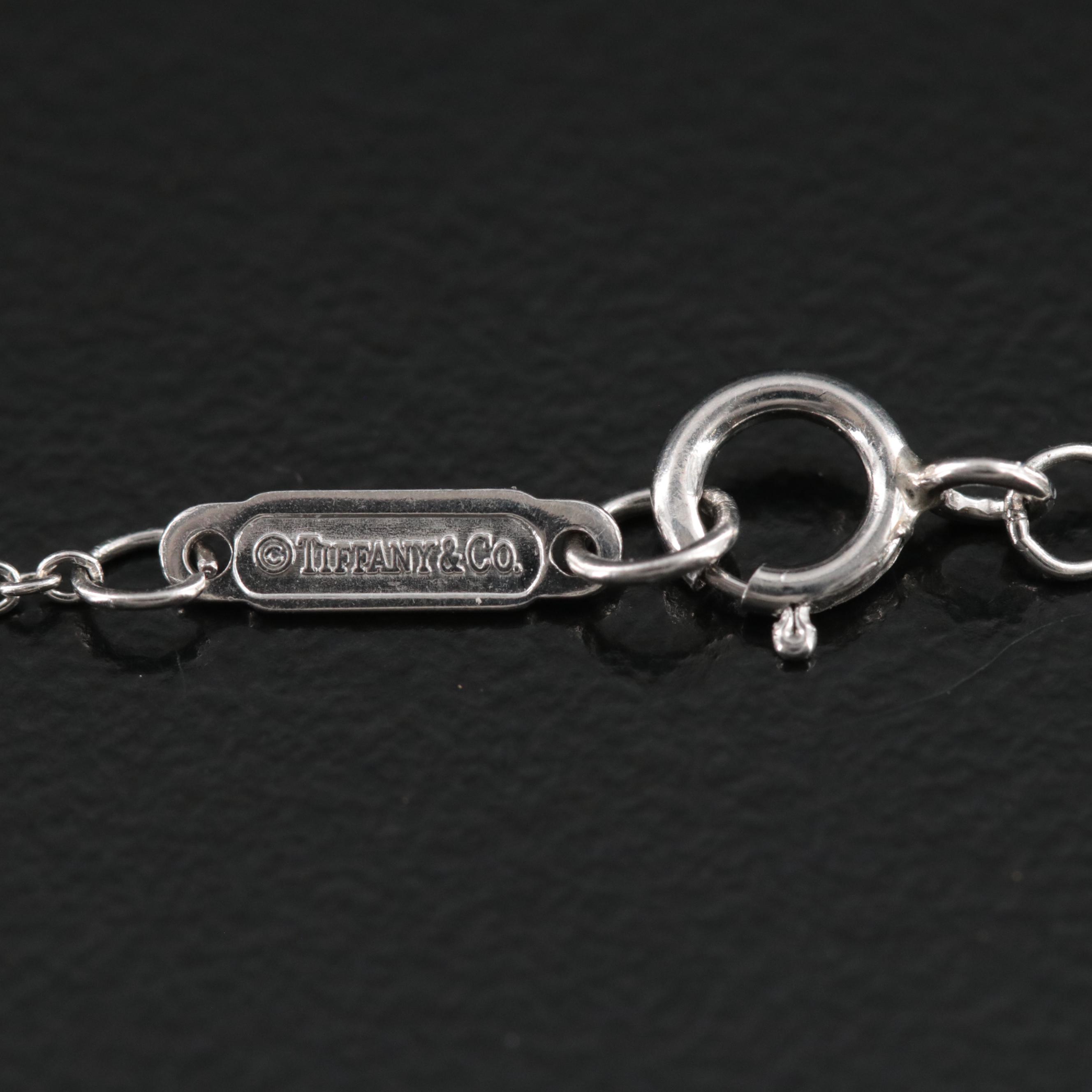 Tiffany & Co. Platinum Chain Necklace