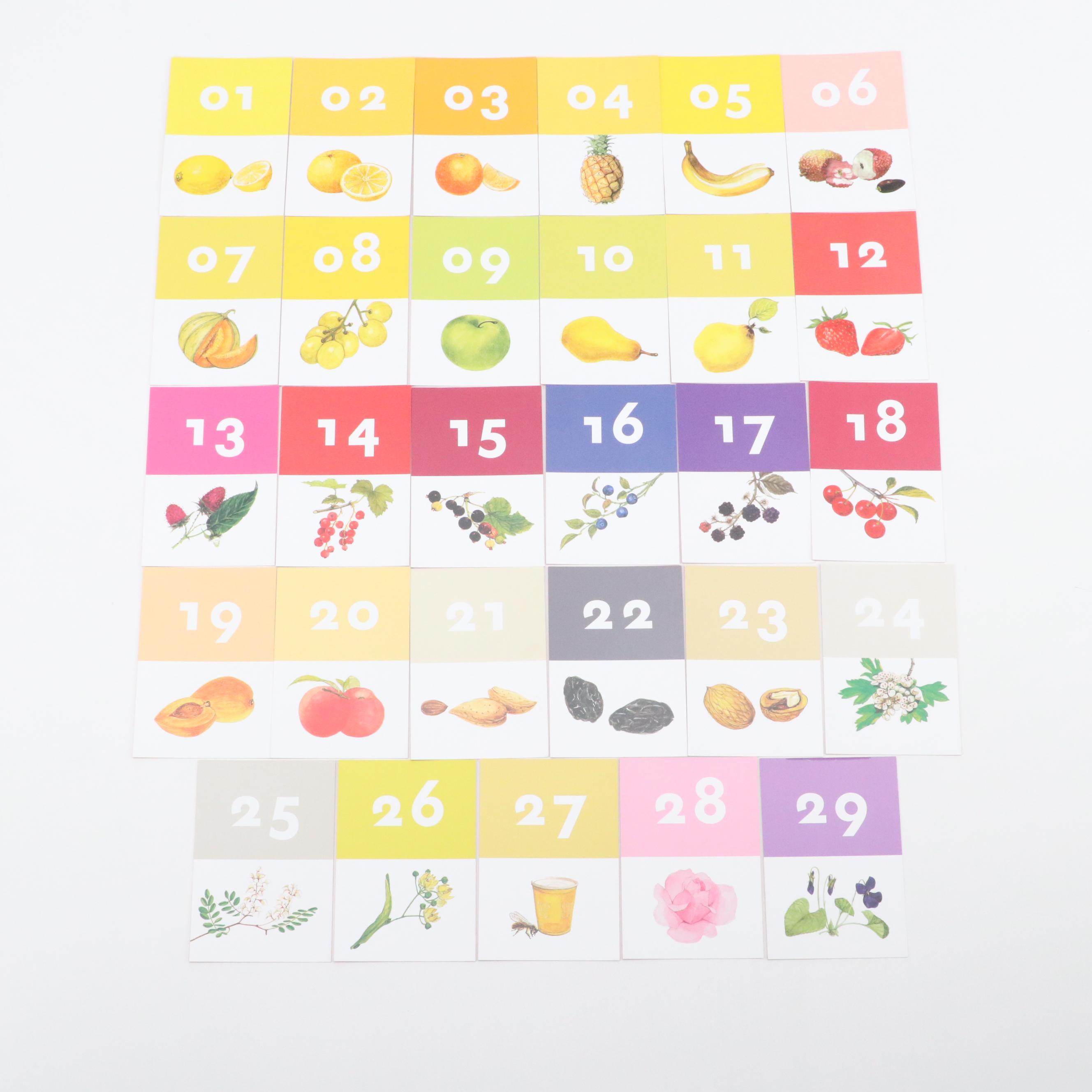 "Le nez du vin" by Jean Lenoir 54 Wine Aroma Master Kit