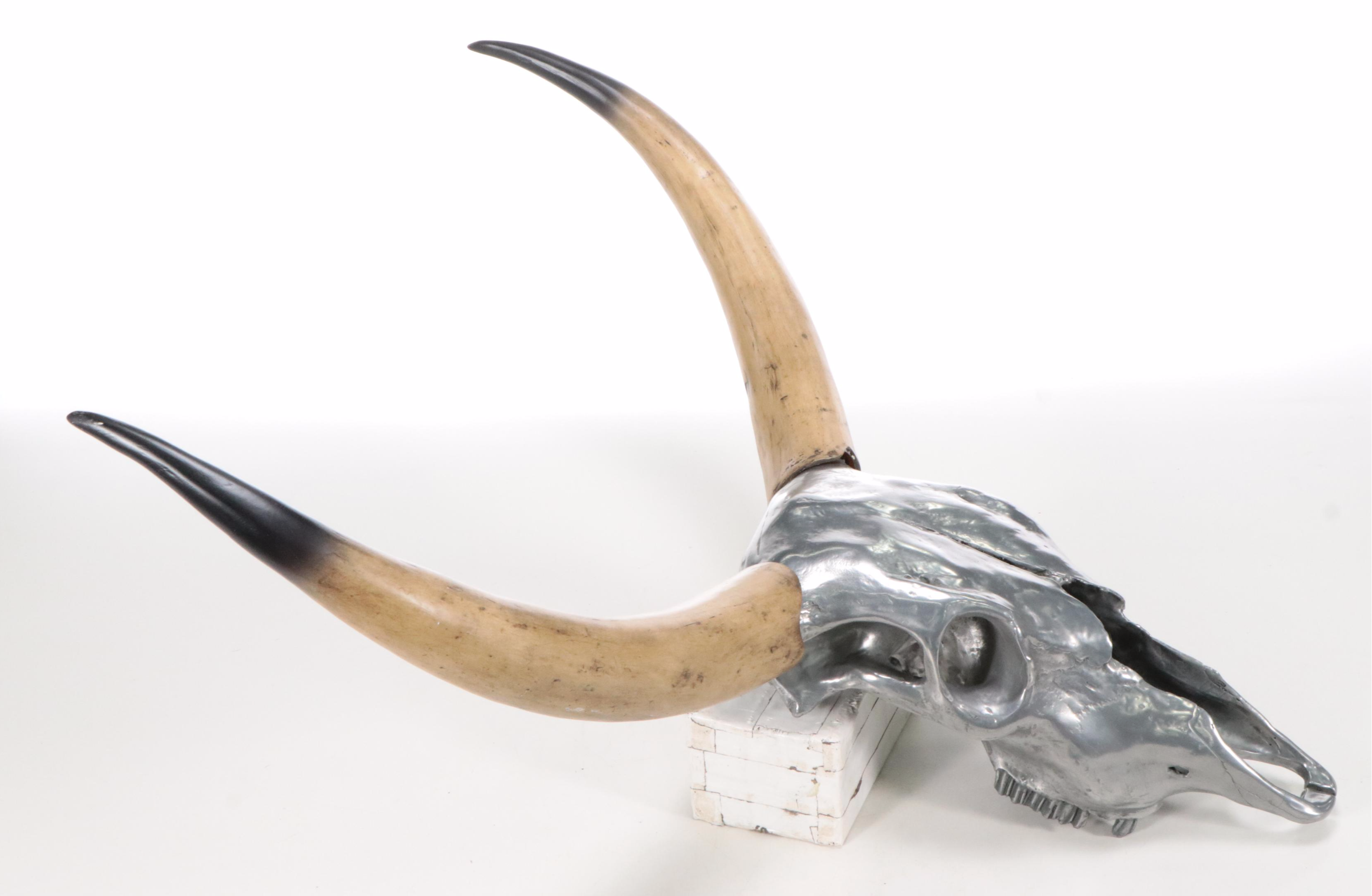 Faux Taxidermy Replica Steer Horns and Skull in Resin