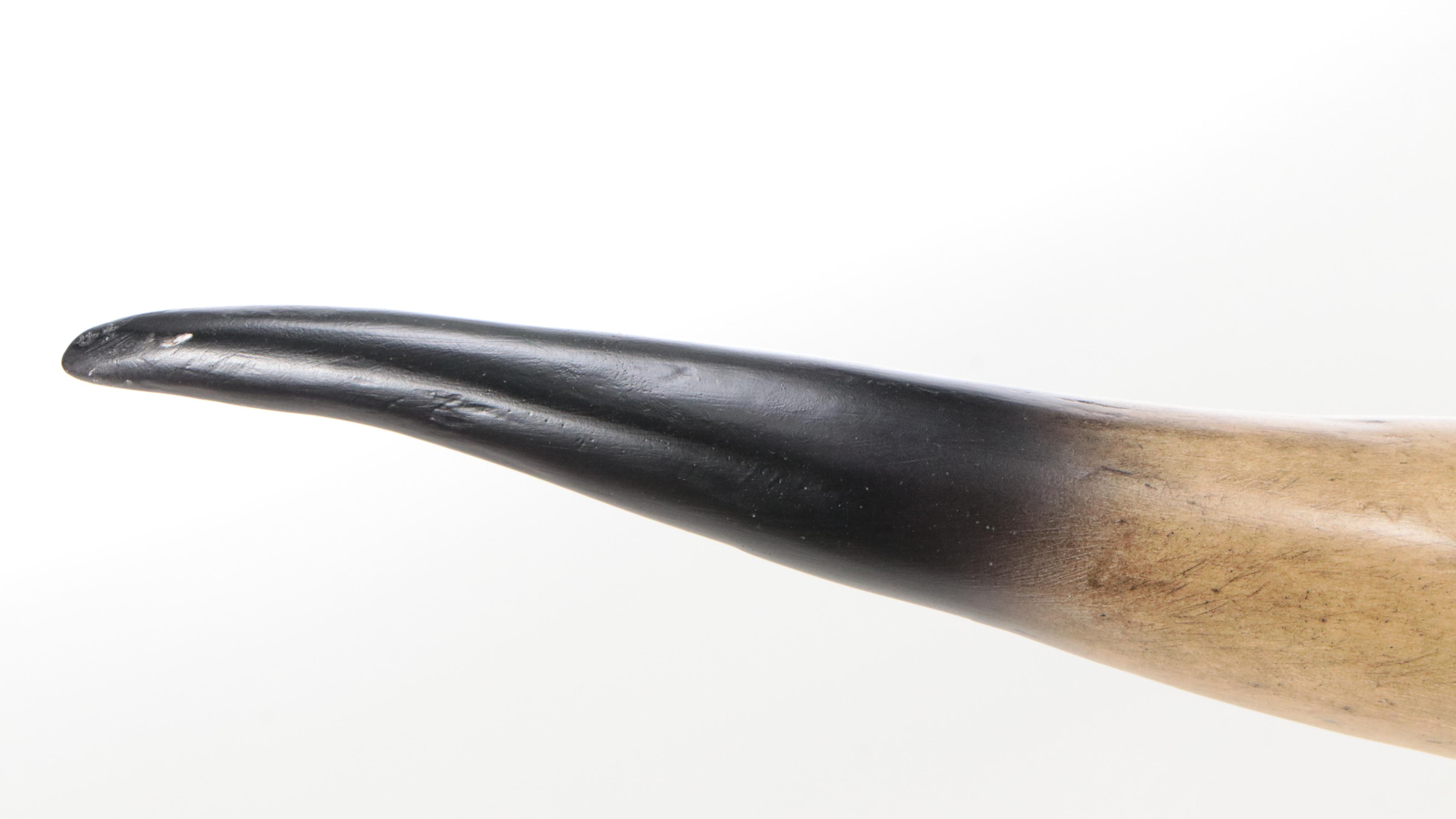 Faux Taxidermy Replica Steer Horns and Skull in Resin