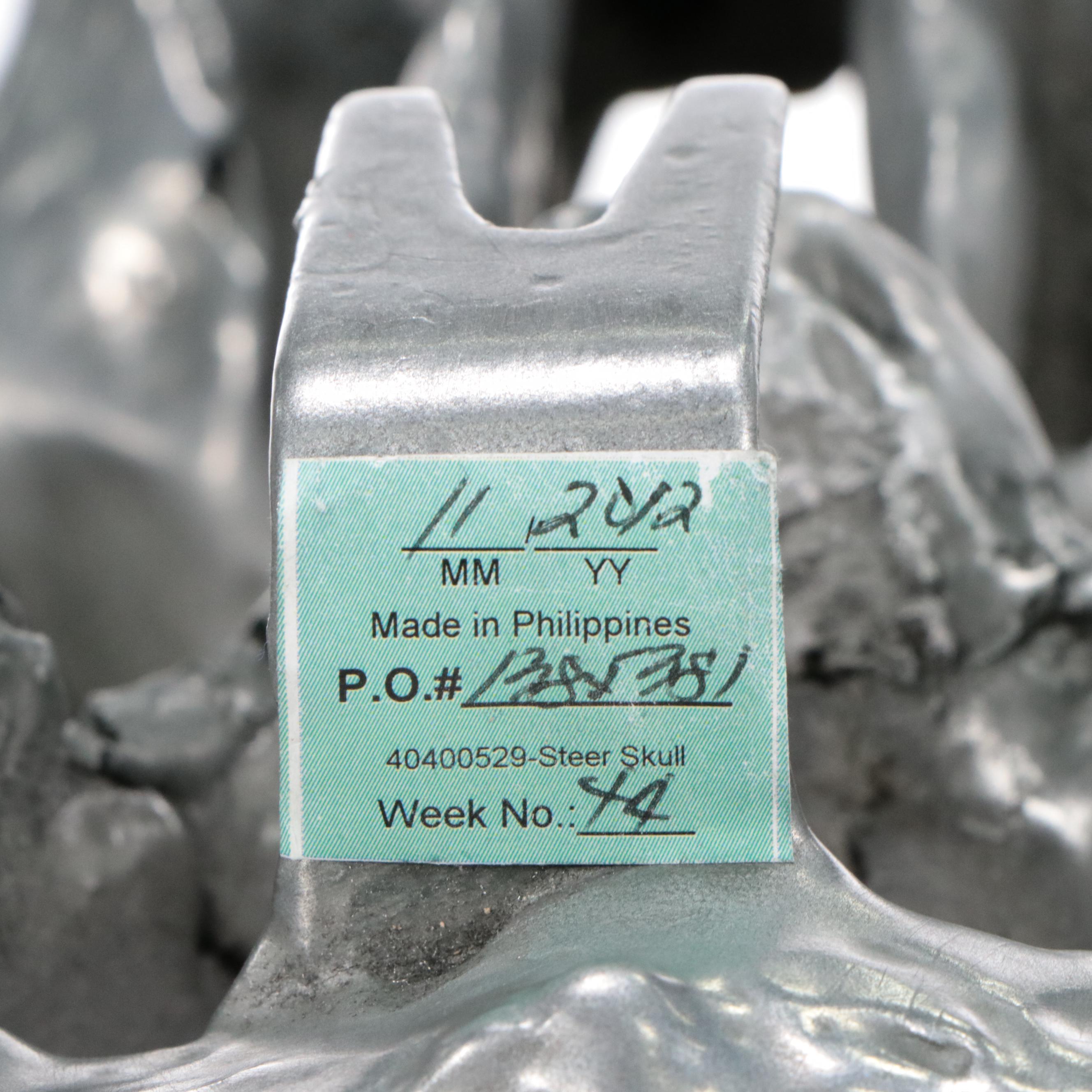 Faux Taxidermy Replica Steer Horns and Skull in Resin