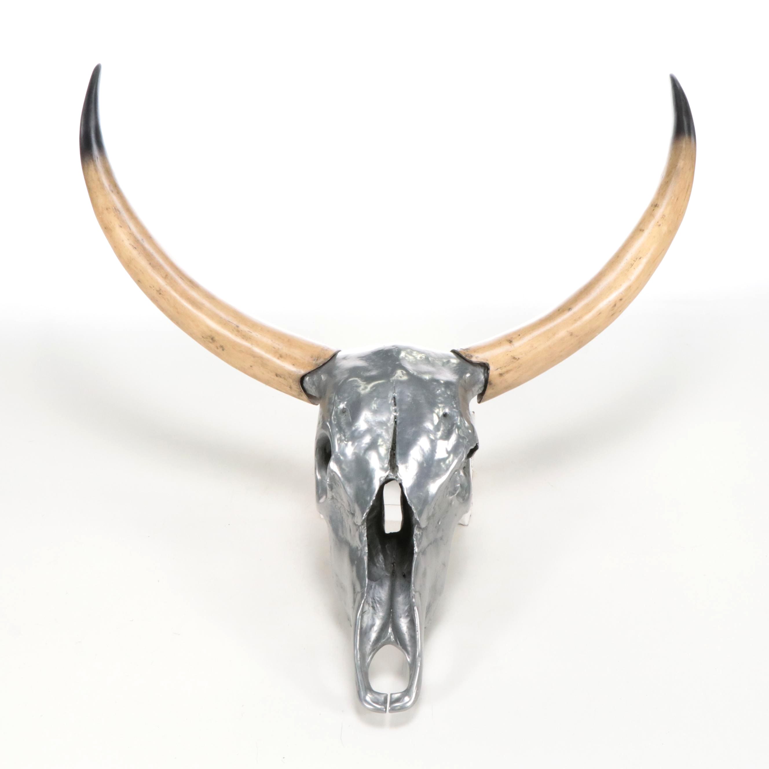 Faux Taxidermy Replica Steer Horns and Skull in Resin