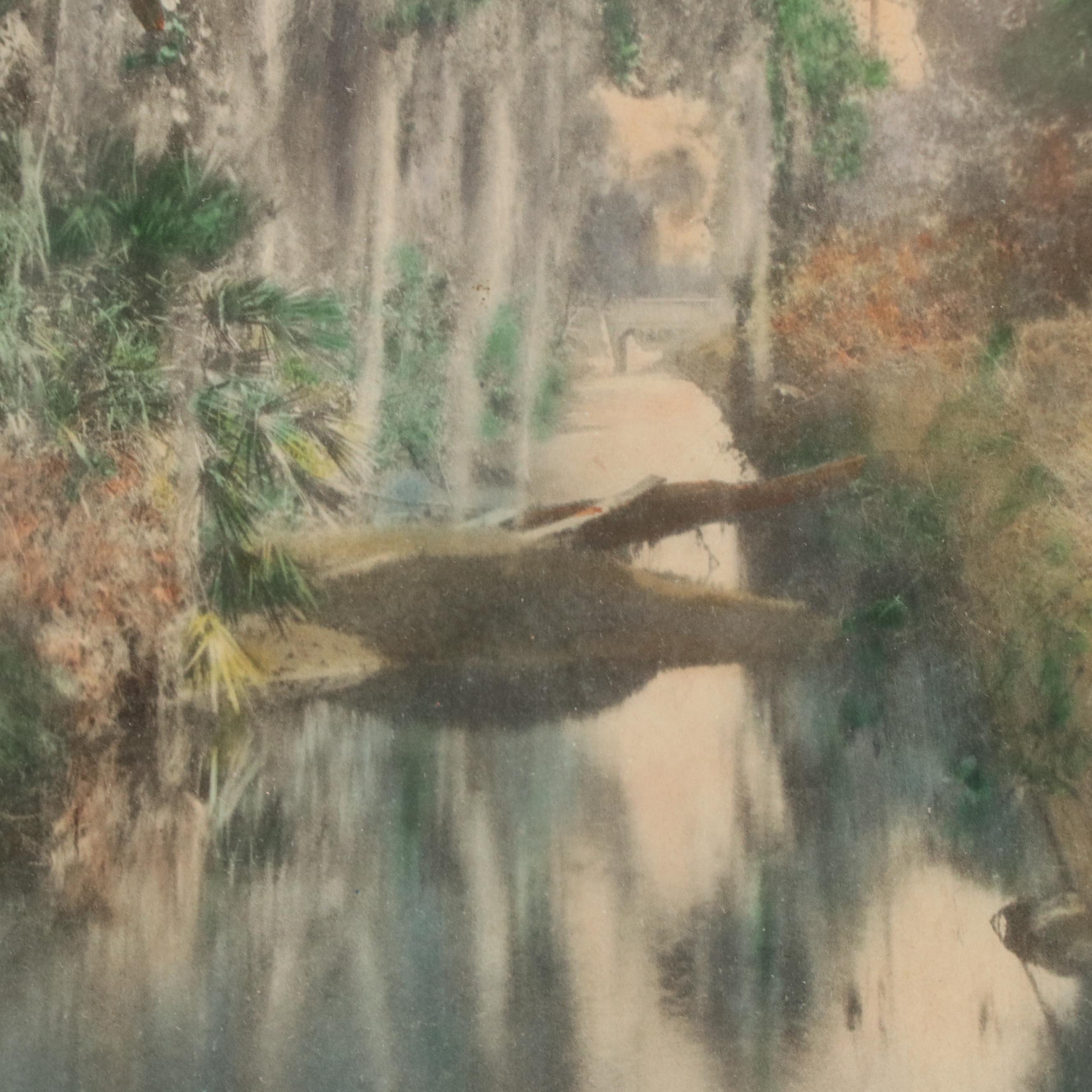 William James Harris HandTinted Collotype "Gator Creek, Florida