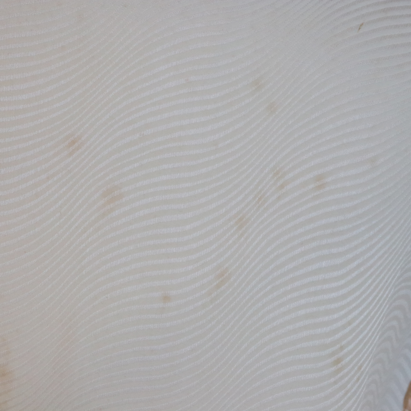 Pair of Regency Style White Washed Swan-Arm Bergère Tub Chairs