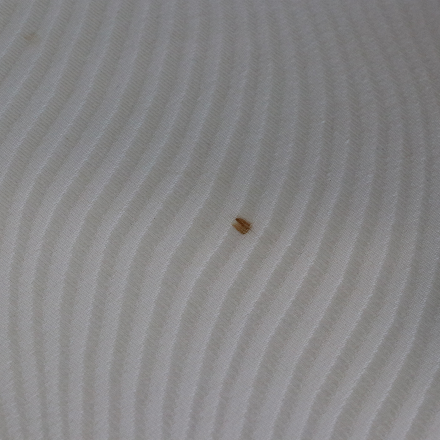 Pair of Regency Style White Washed Swan-Arm Bergère Tub Chairs