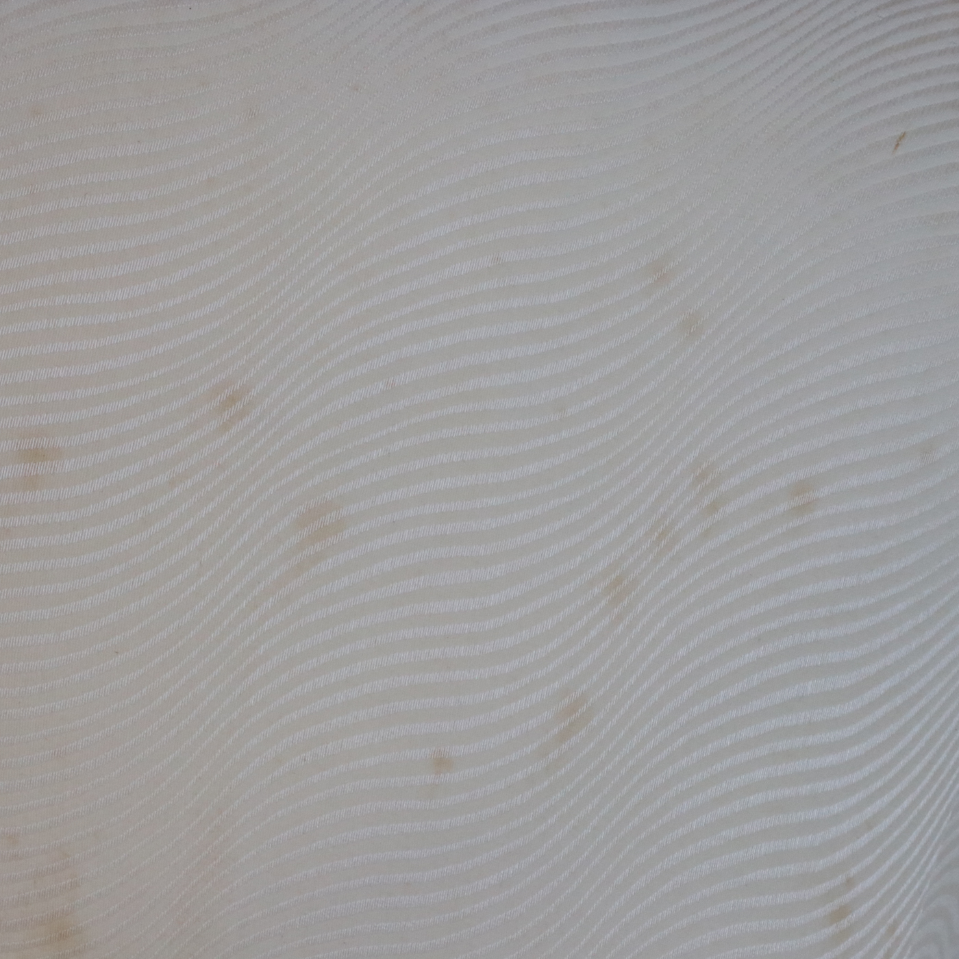 Pair of Regency Style White Washed Swan-Arm Bergère Tub Chairs