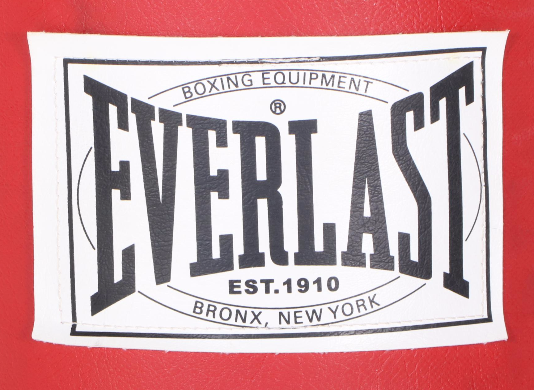 Everlast Red Punching Bag with Venum Boxing Gloves
