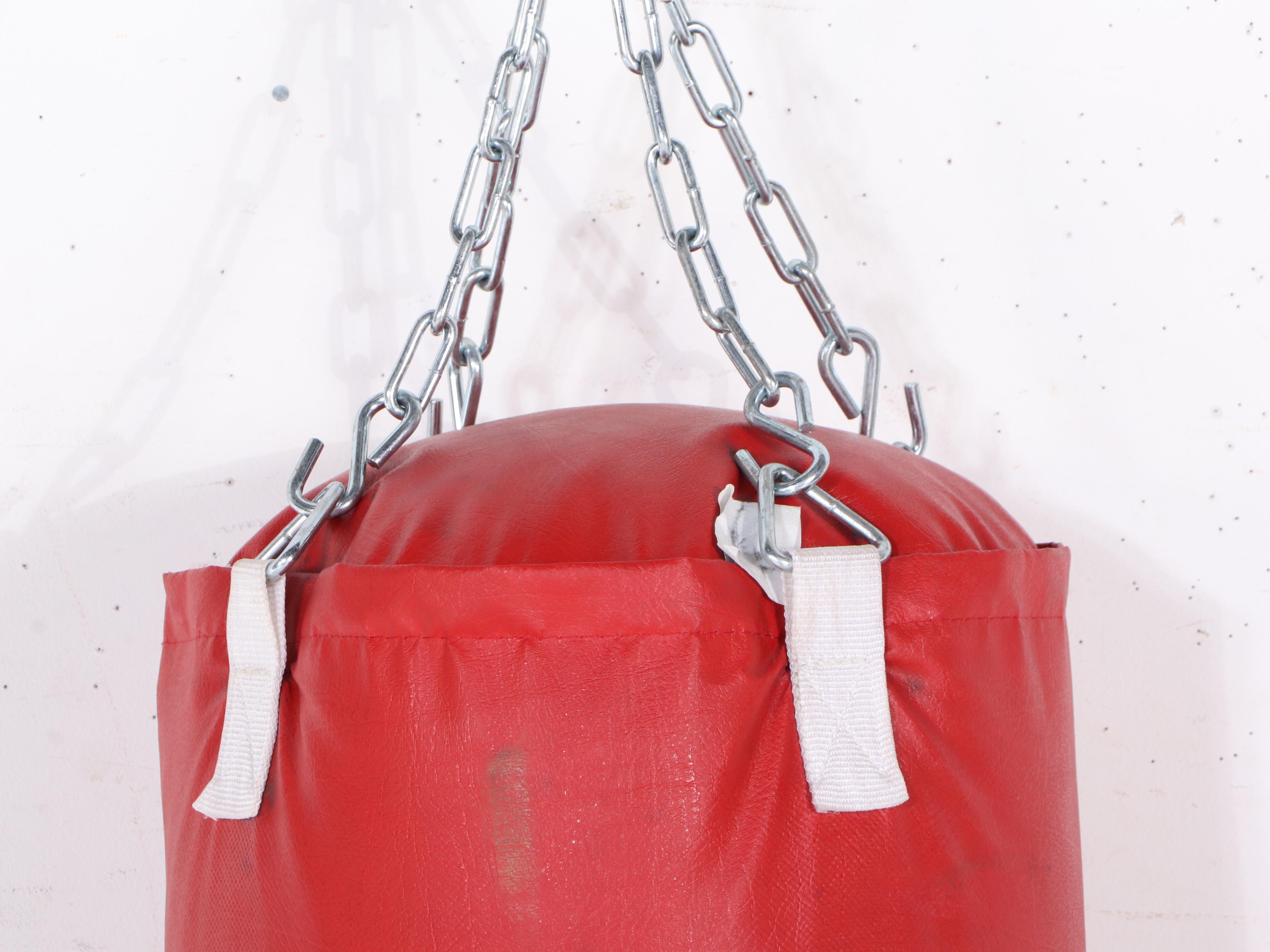 Everlast Red Punching Bag with Venum Boxing Gloves