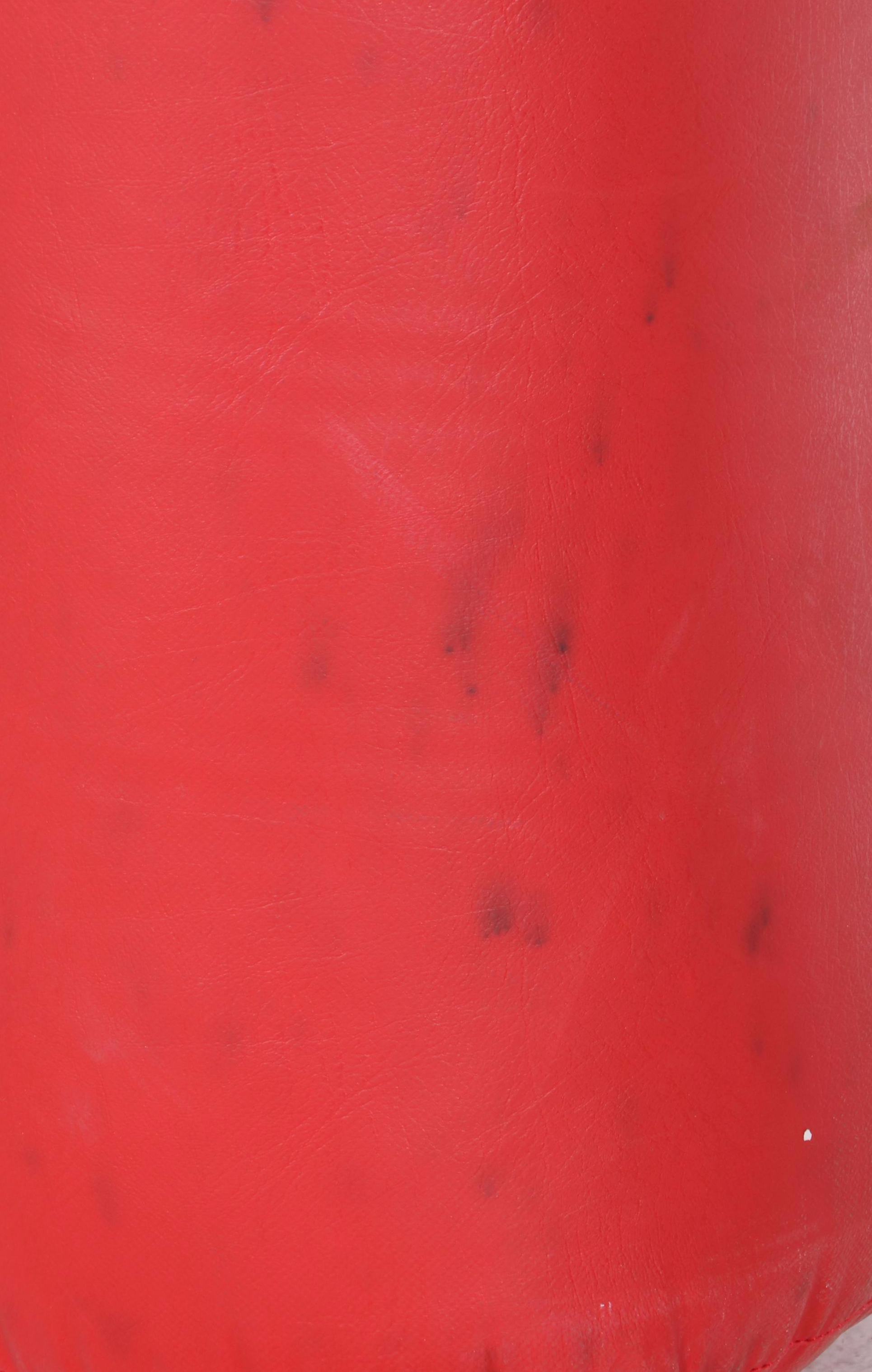 Everlast Red Punching Bag with Venum Boxing Gloves