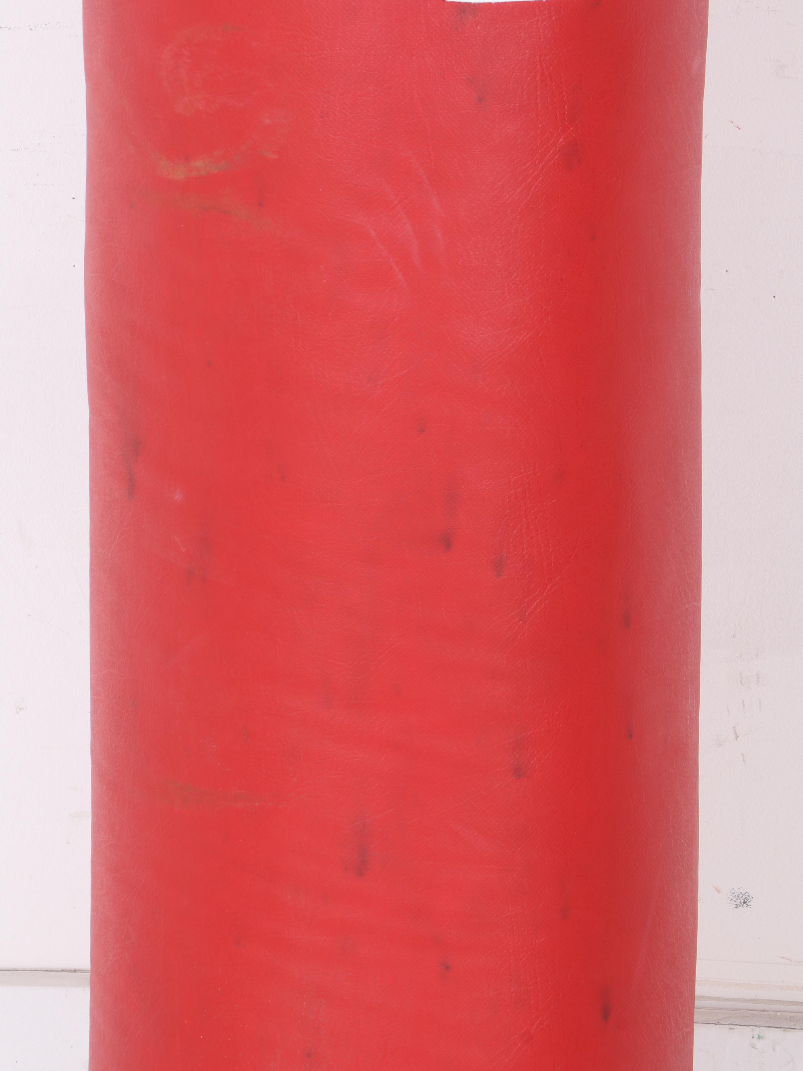 Everlast Red Punching Bag with Venum Boxing Gloves