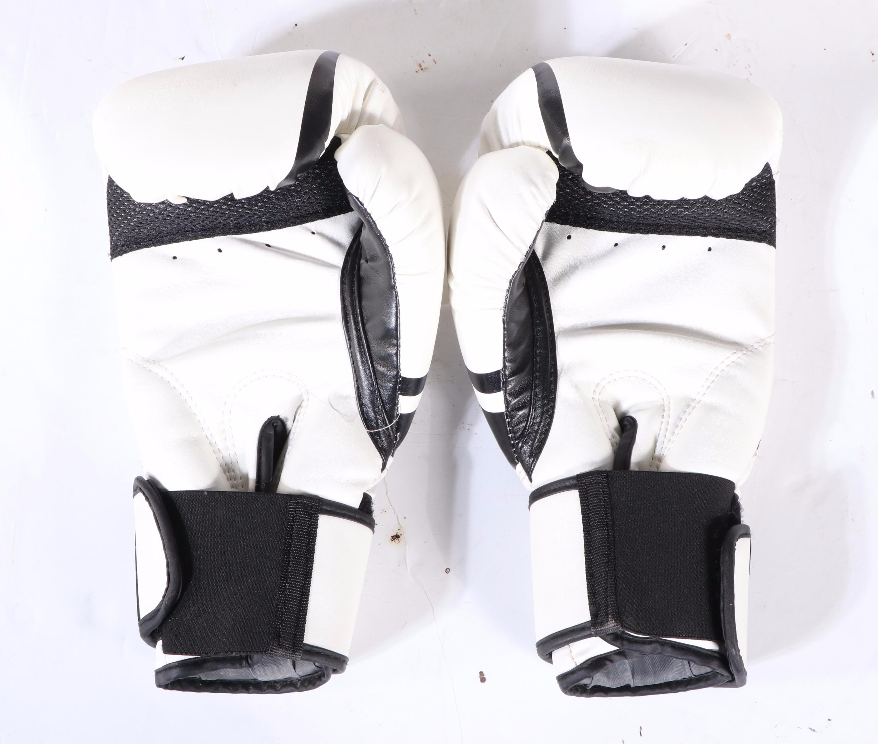 Everlast Red Punching Bag with Venum Boxing Gloves