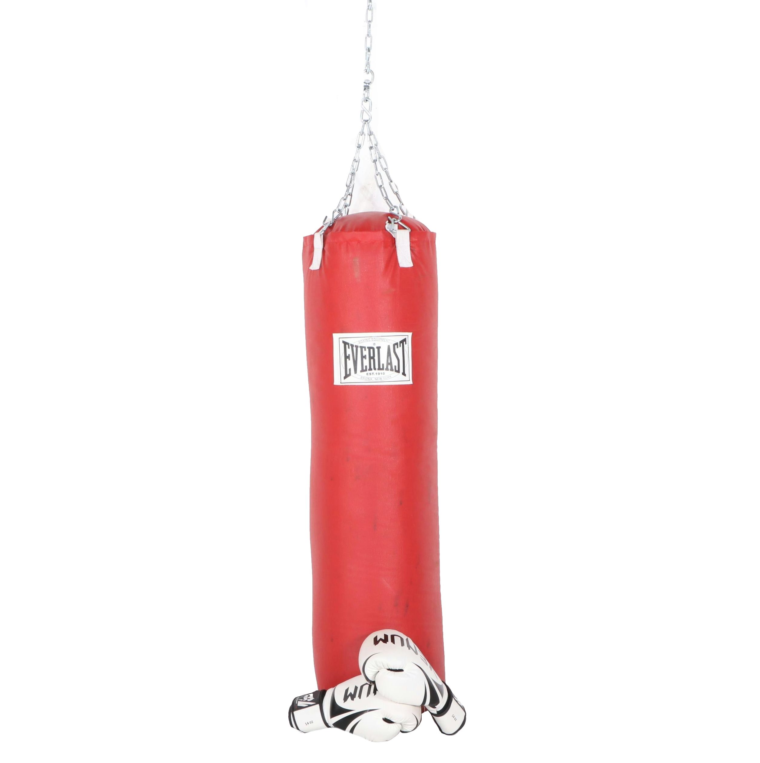 Everlast Red Punching Bag with Venum Boxing Gloves