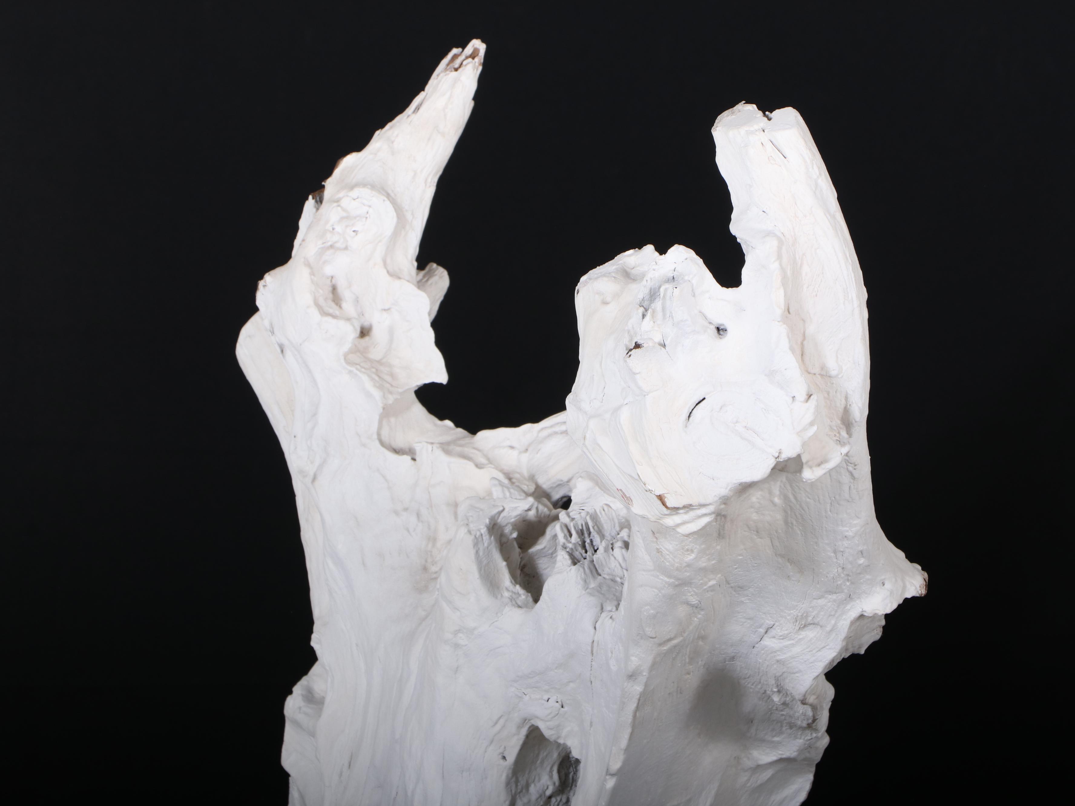 Indonesian Painted Teak Root Sculpture in Bone Finish