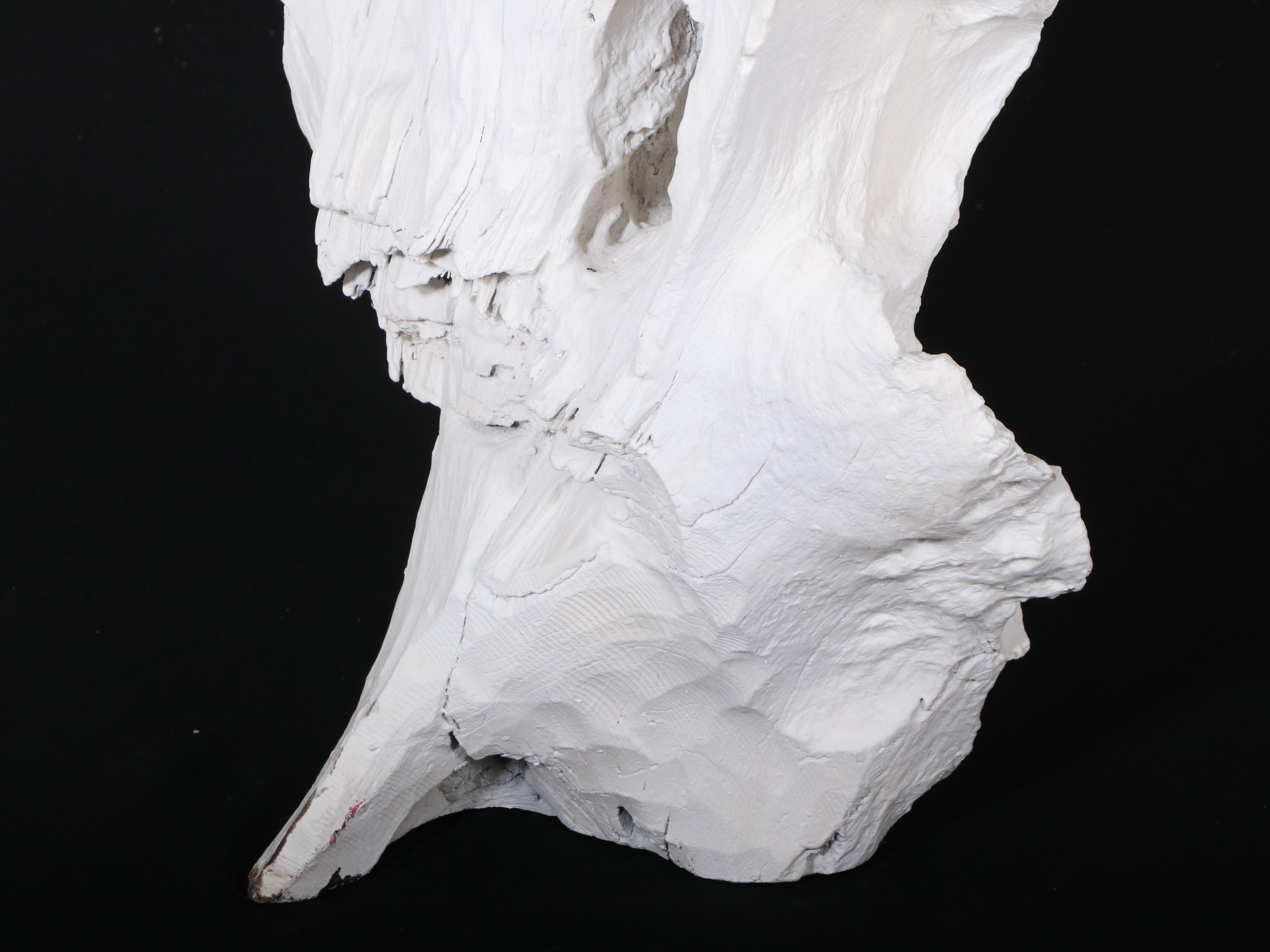 Indonesian Painted Teak Root Sculpture in Bone Finish