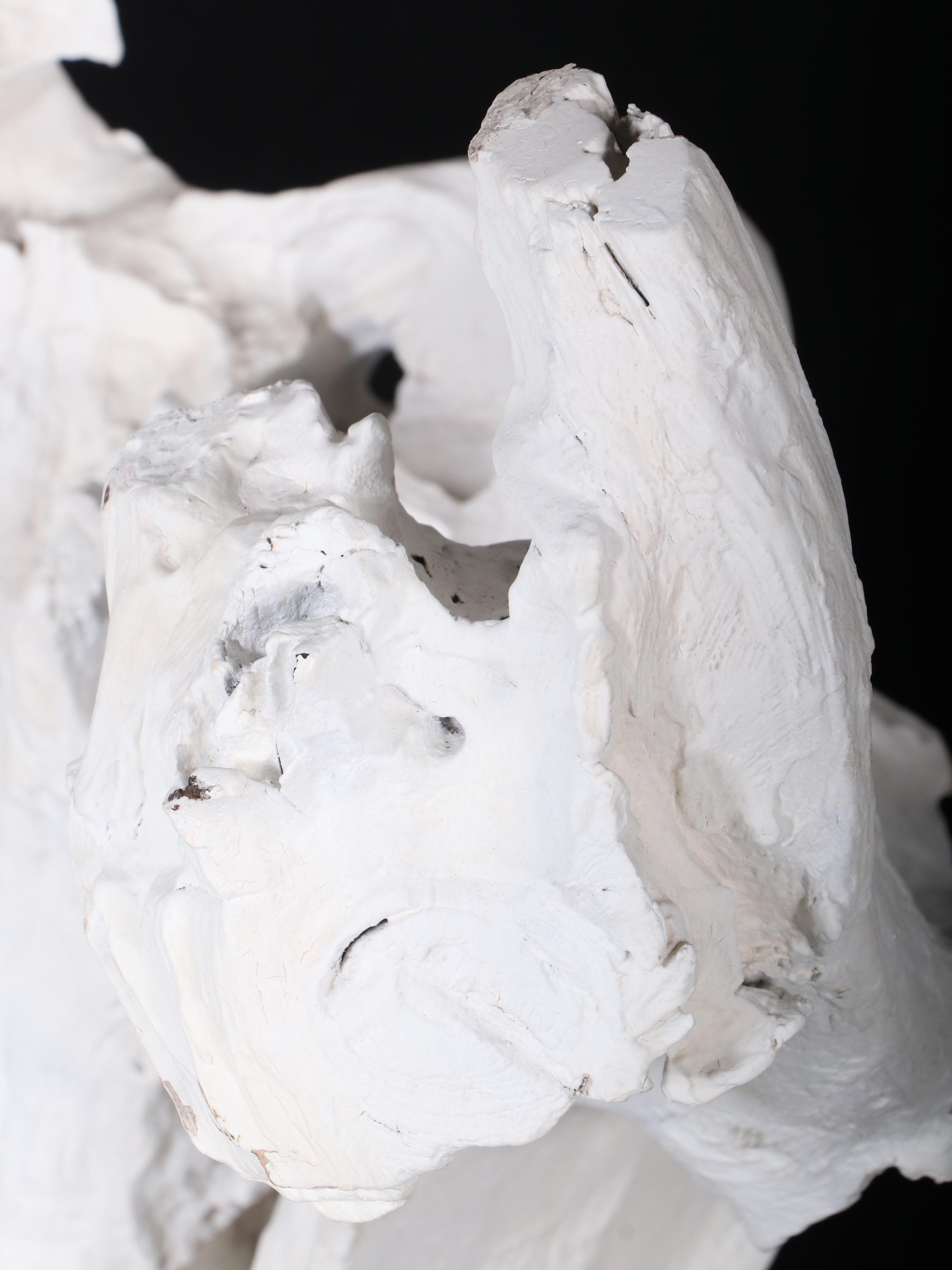 Indonesian Painted Teak Root Sculpture in Bone Finish