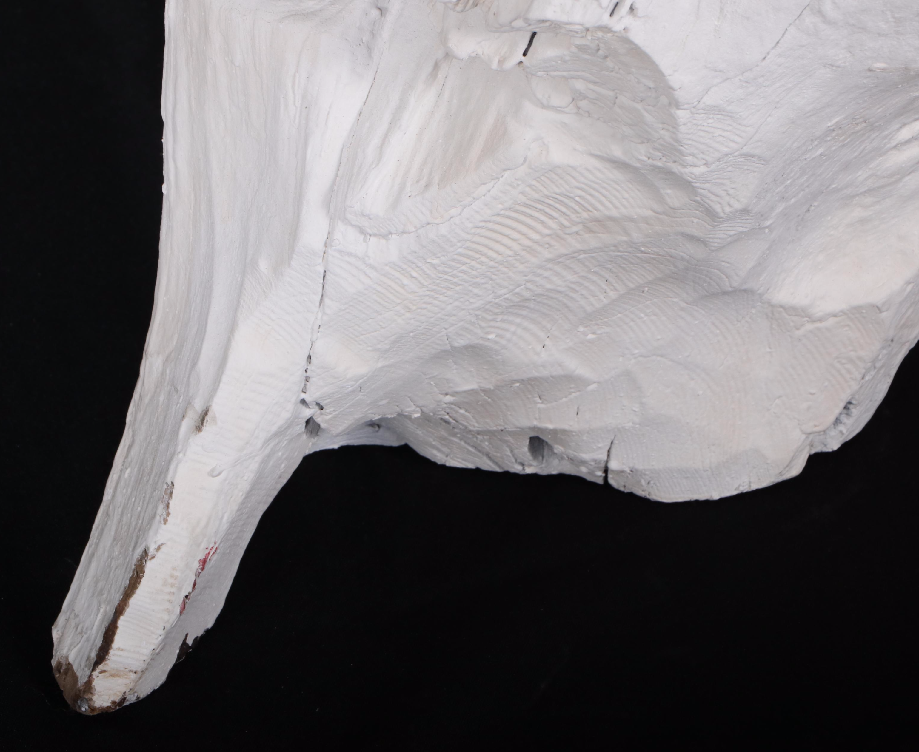 Indonesian Painted Teak Root Sculpture in Bone Finish