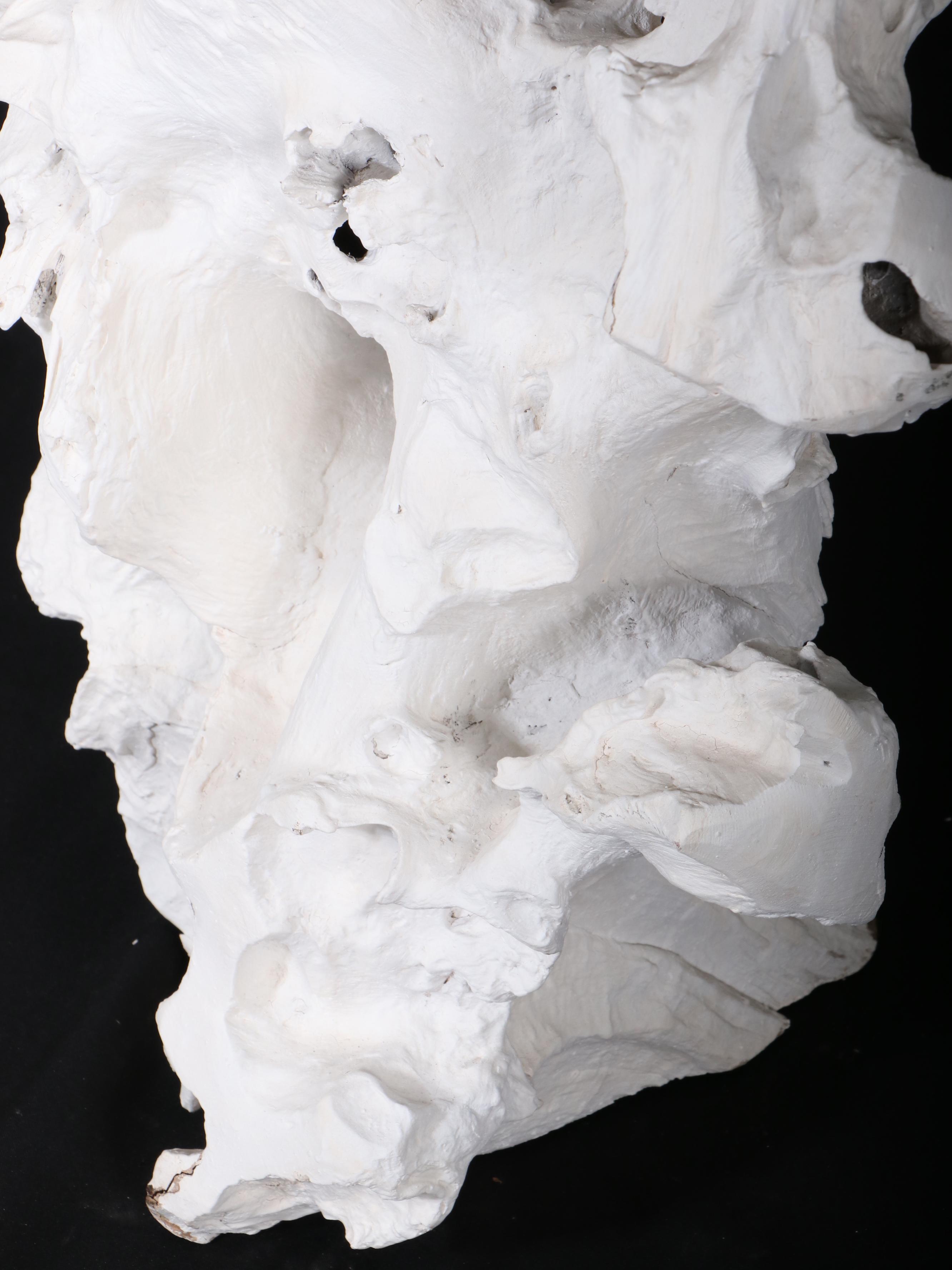 Indonesian Painted Teak Root Sculpture in Bone Finish