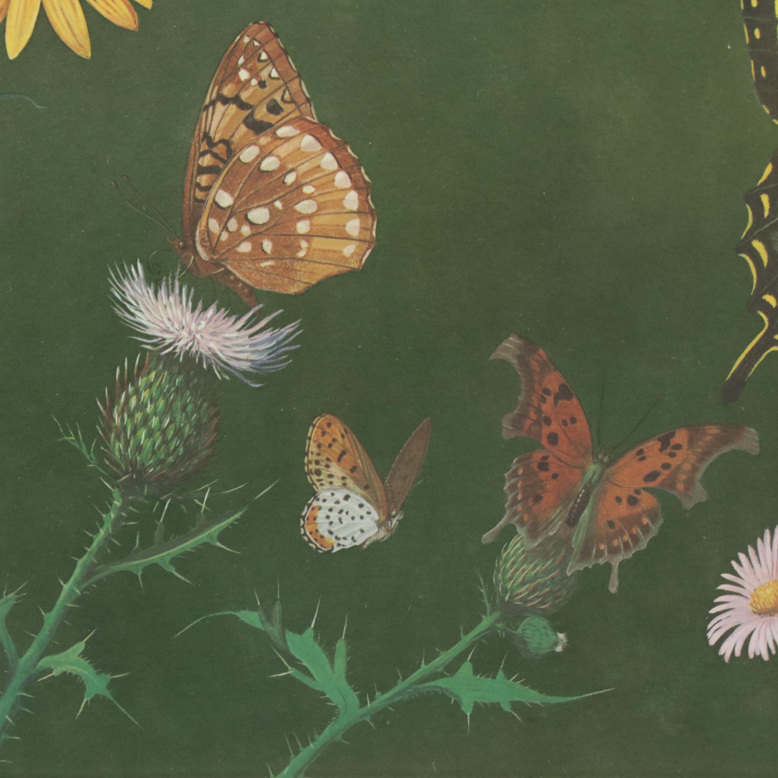 Offset Lithograph After Ray Harm "American Butterflies," Circa 1963