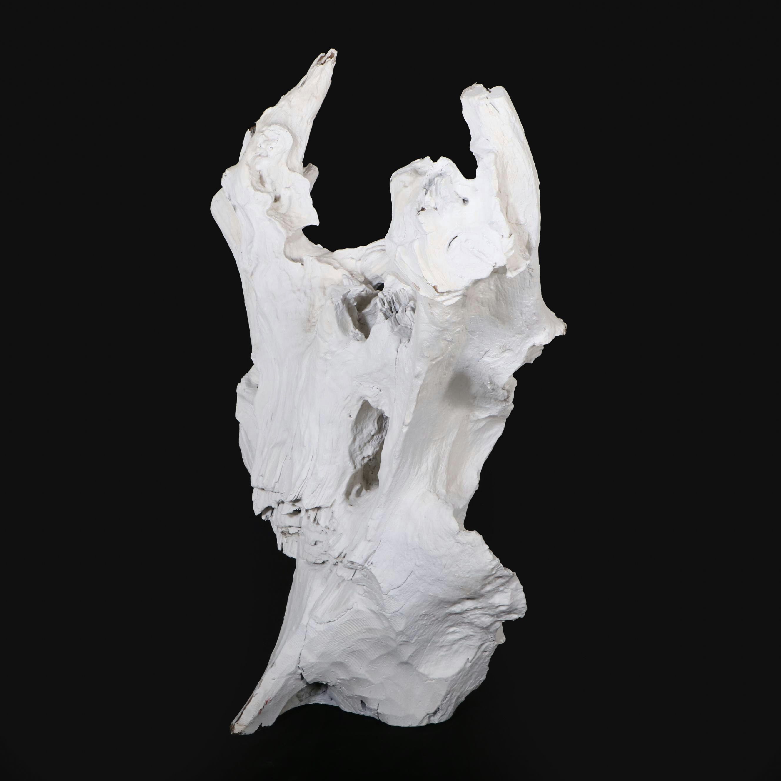 Indonesian Painted Teak Root Sculpture in Bone Finish