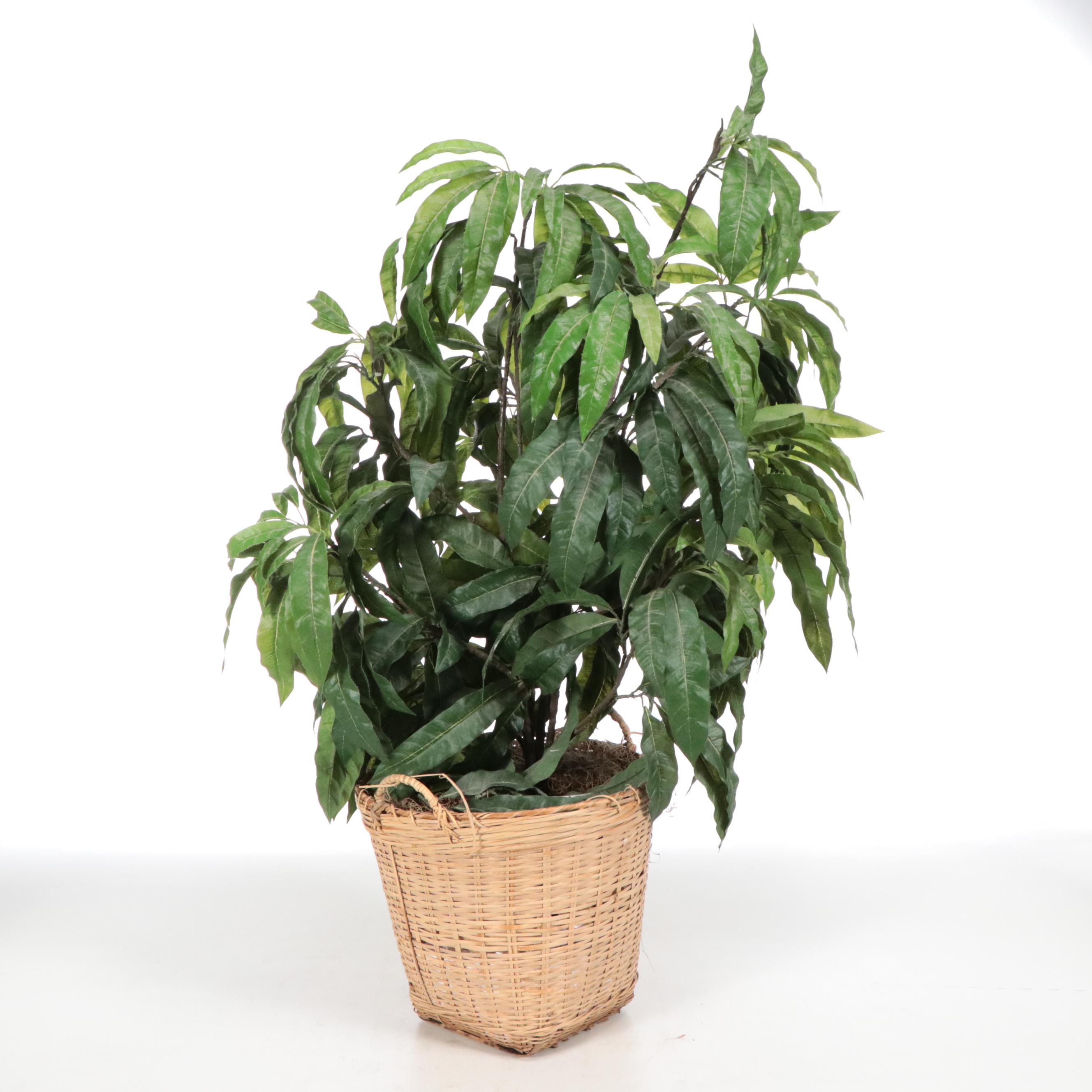 Artificial Olive Tree, Ornamental Grass, and Mango Plant in Planters