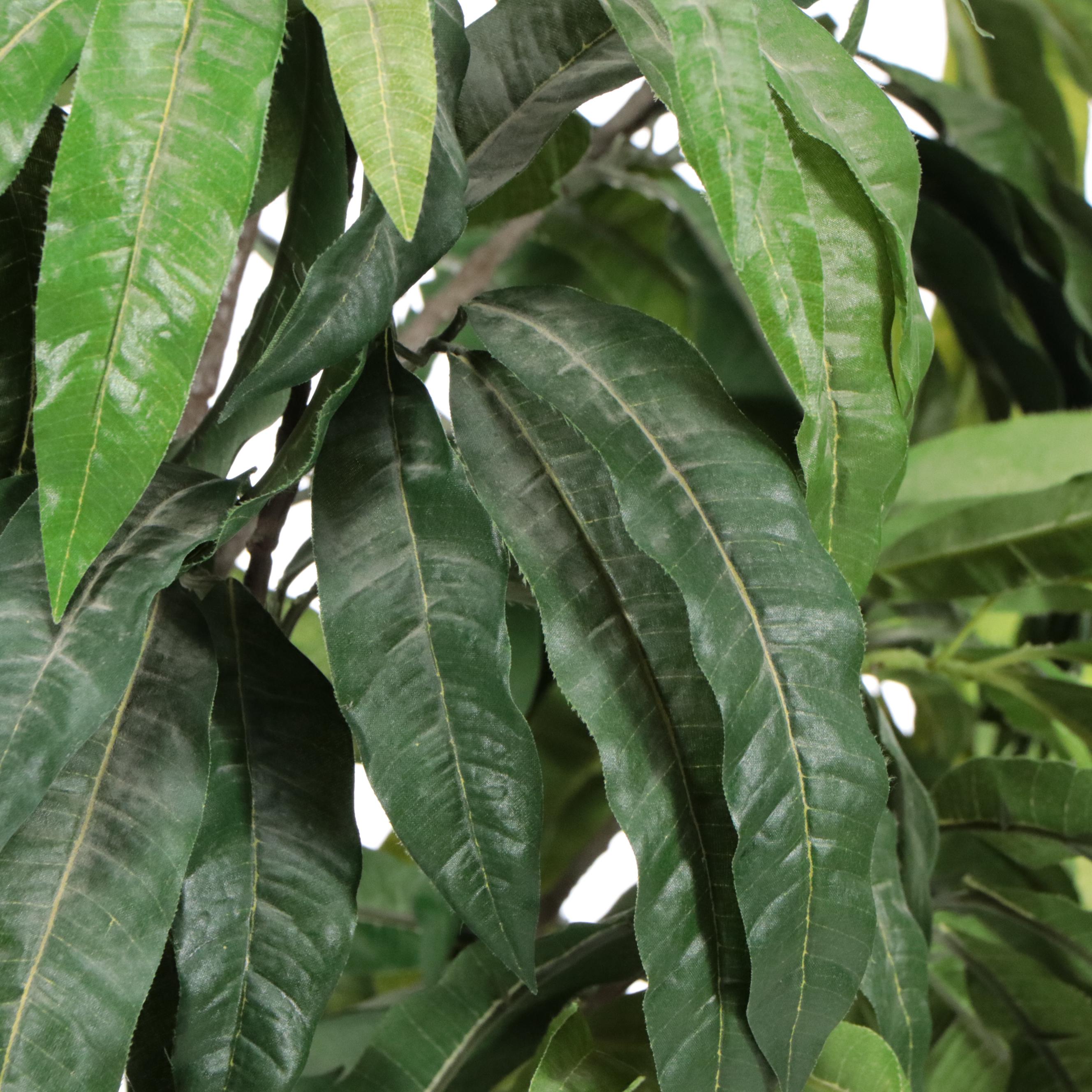 Artificial Olive Tree, Ornamental Grass, and Mango Plant in Planters