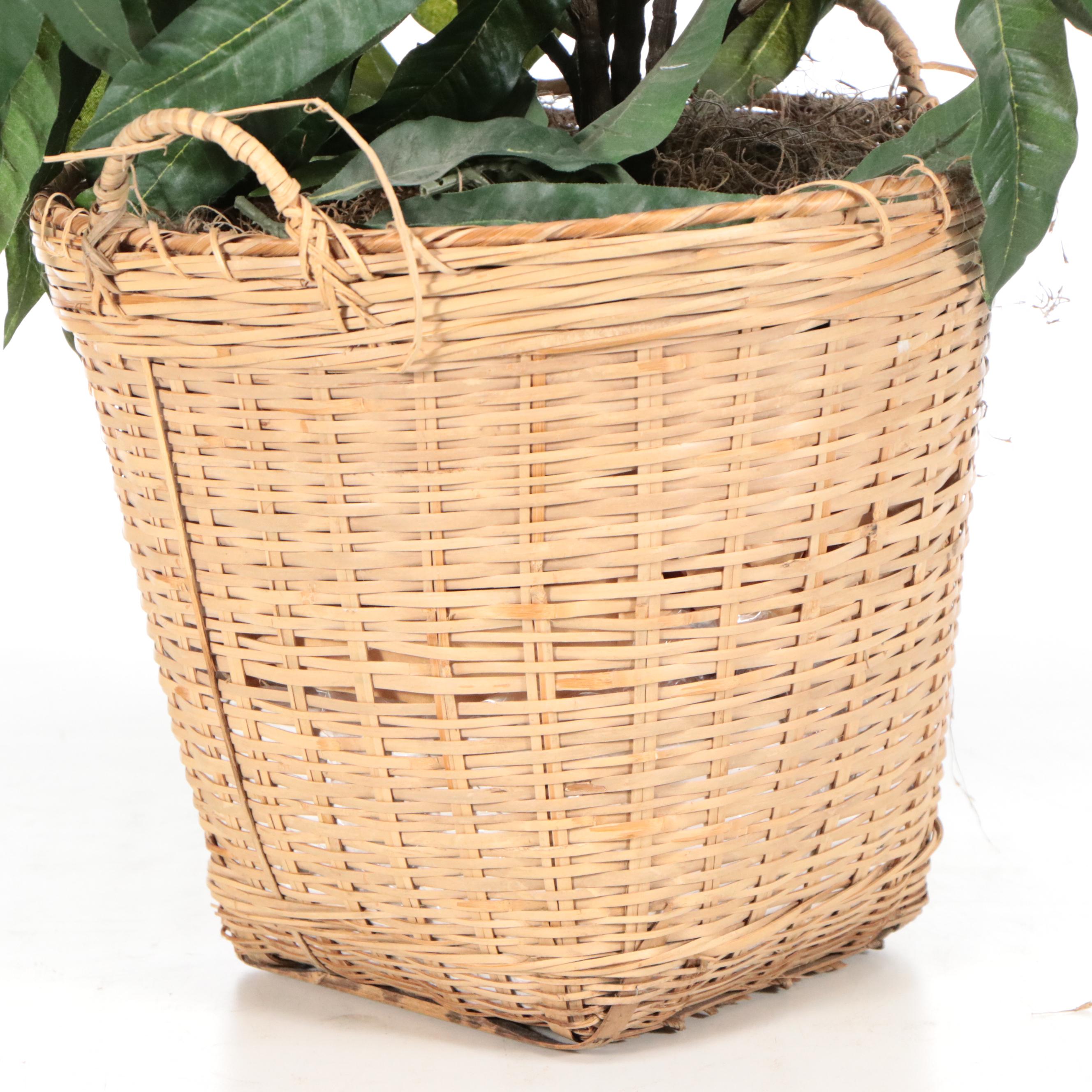 Artificial Olive Tree, Ornamental Grass, and Mango Plant in Planters