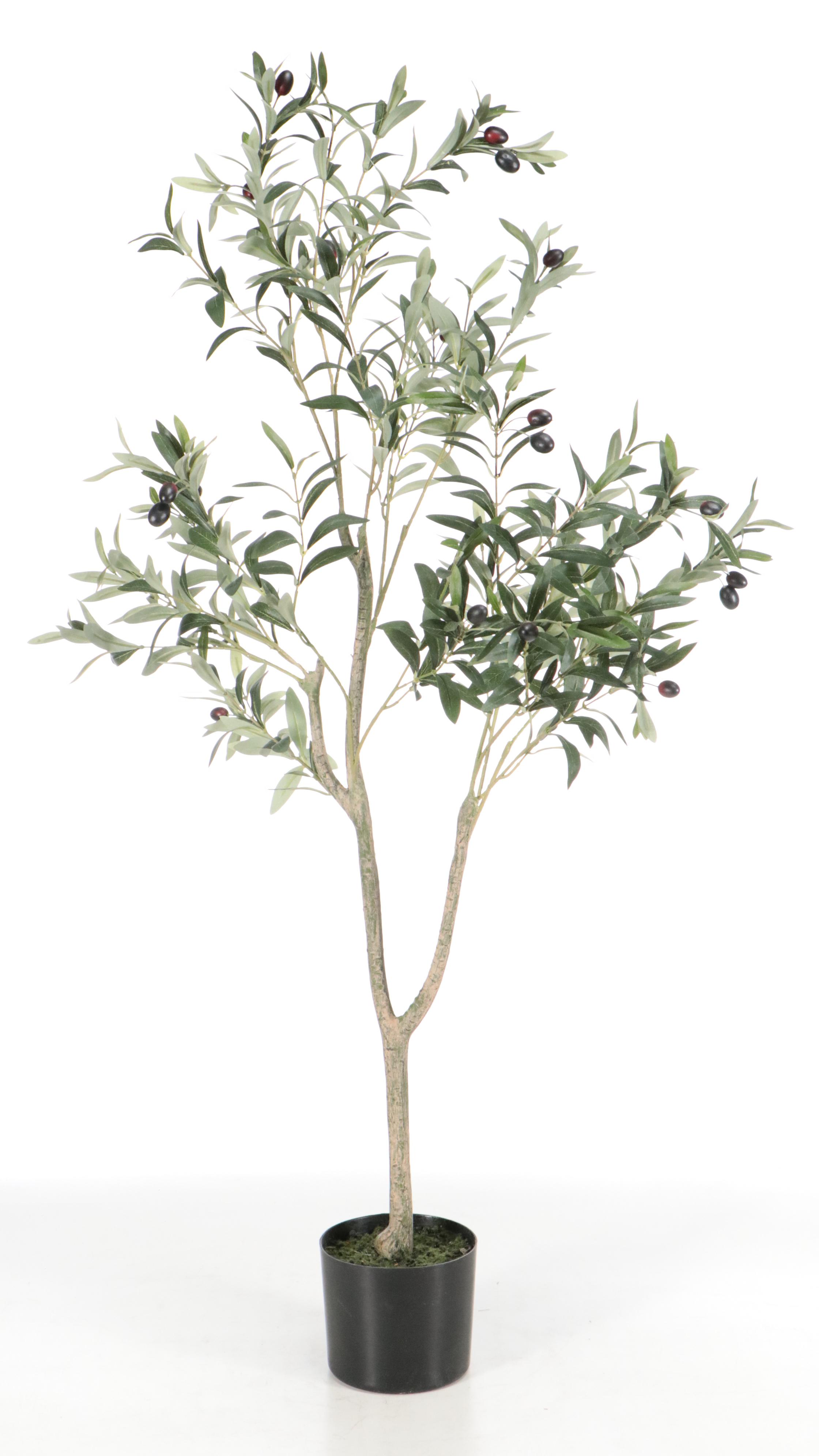 Artificial Olive Tree, Ornamental Grass, and Mango Plant in Planters