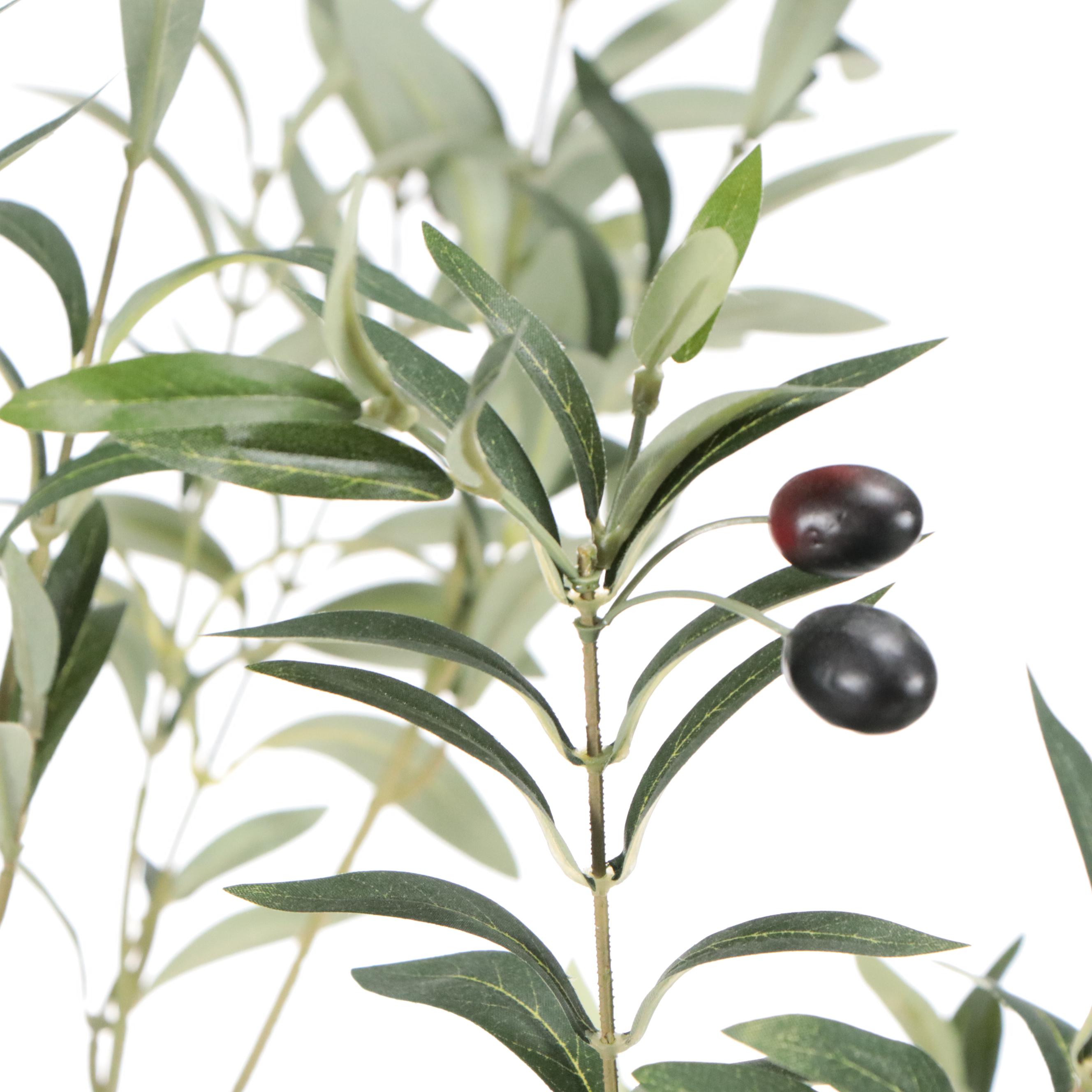 Artificial Olive Tree, Ornamental Grass, and Mango Plant in Planters