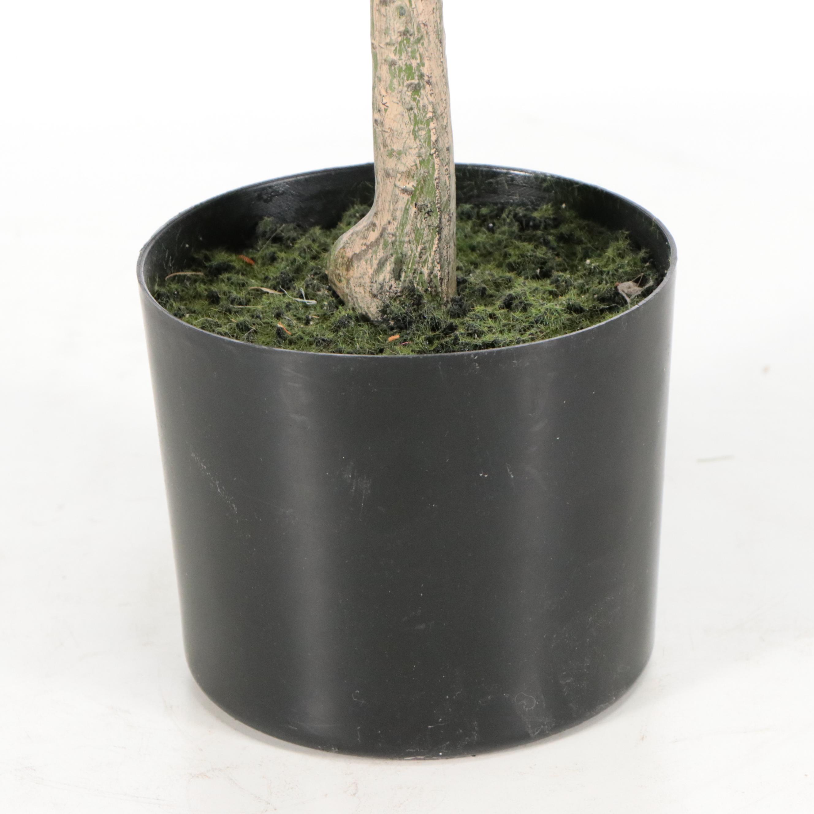 Artificial Olive Tree, Ornamental Grass, and Mango Plant in Planters