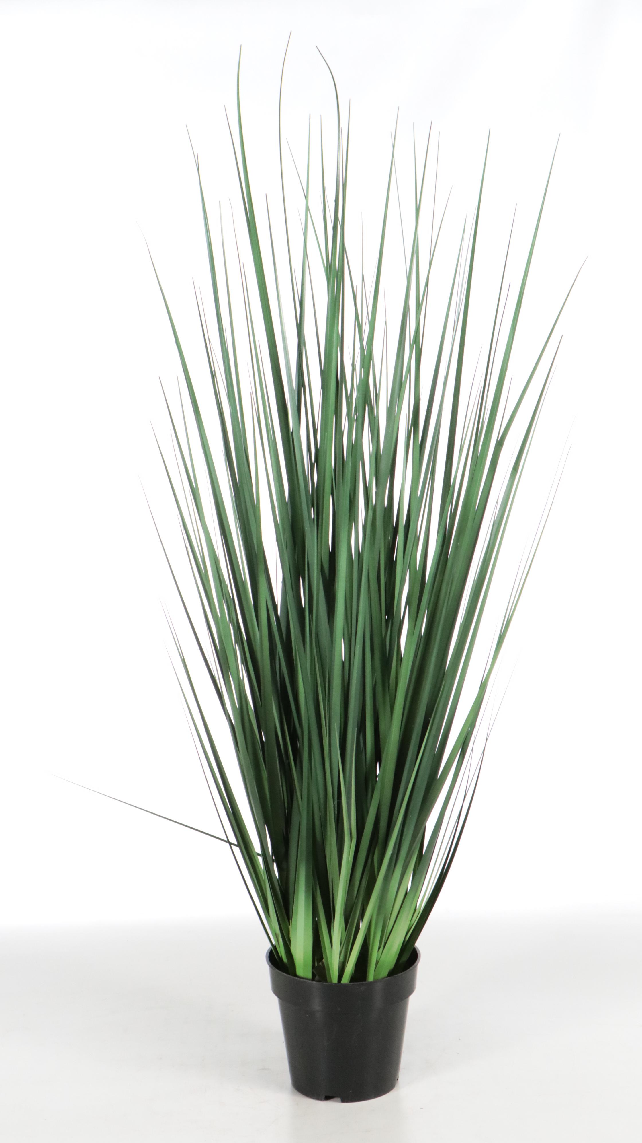 Artificial Olive Tree, Ornamental Grass, and Mango Plant in Planters