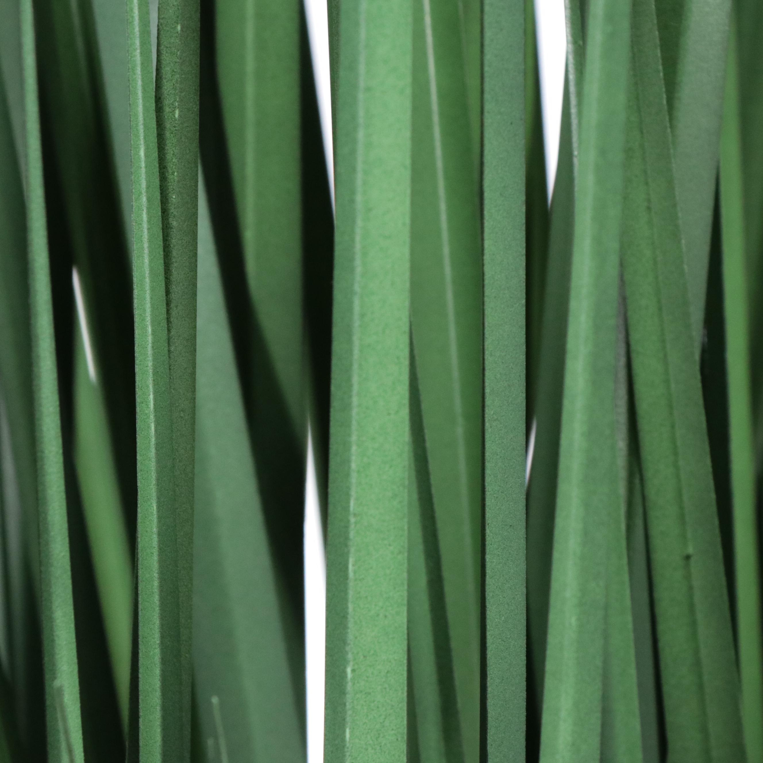 Artificial Olive Tree, Ornamental Grass, and Mango Plant in Planters