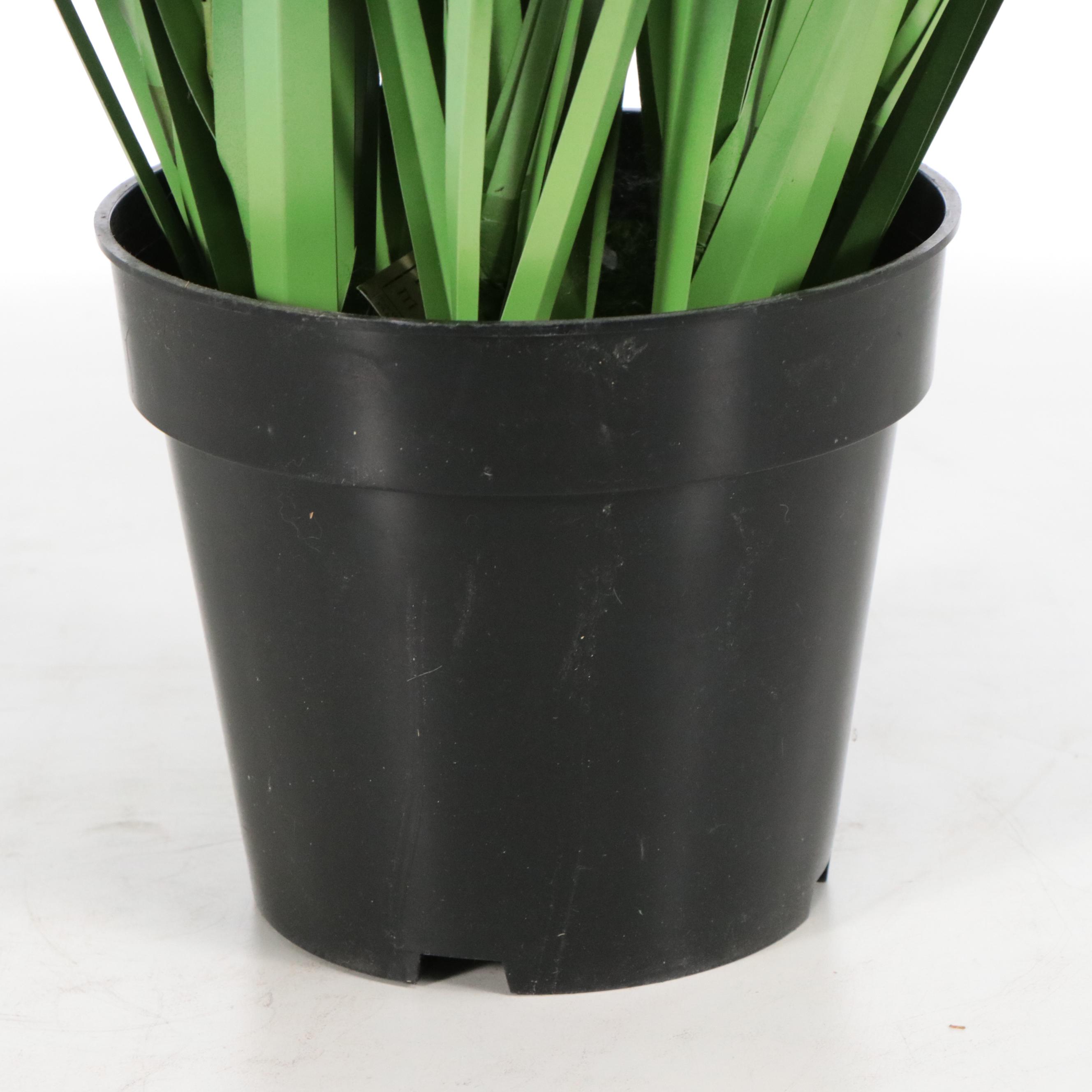 Artificial Olive Tree, Ornamental Grass, and Mango Plant in Planters