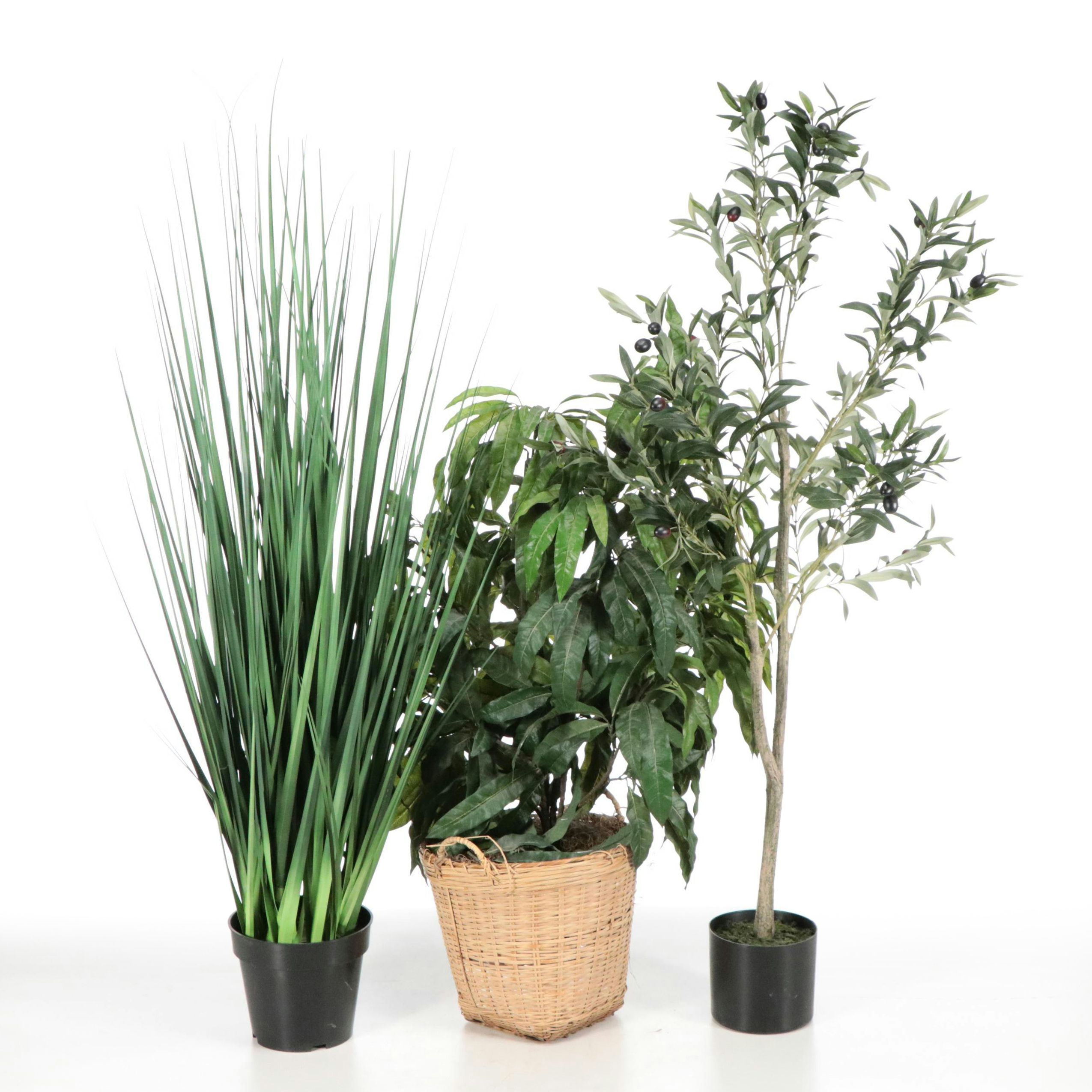 Artificial Olive Tree, Ornamental Grass, and Mango Plant in Planters