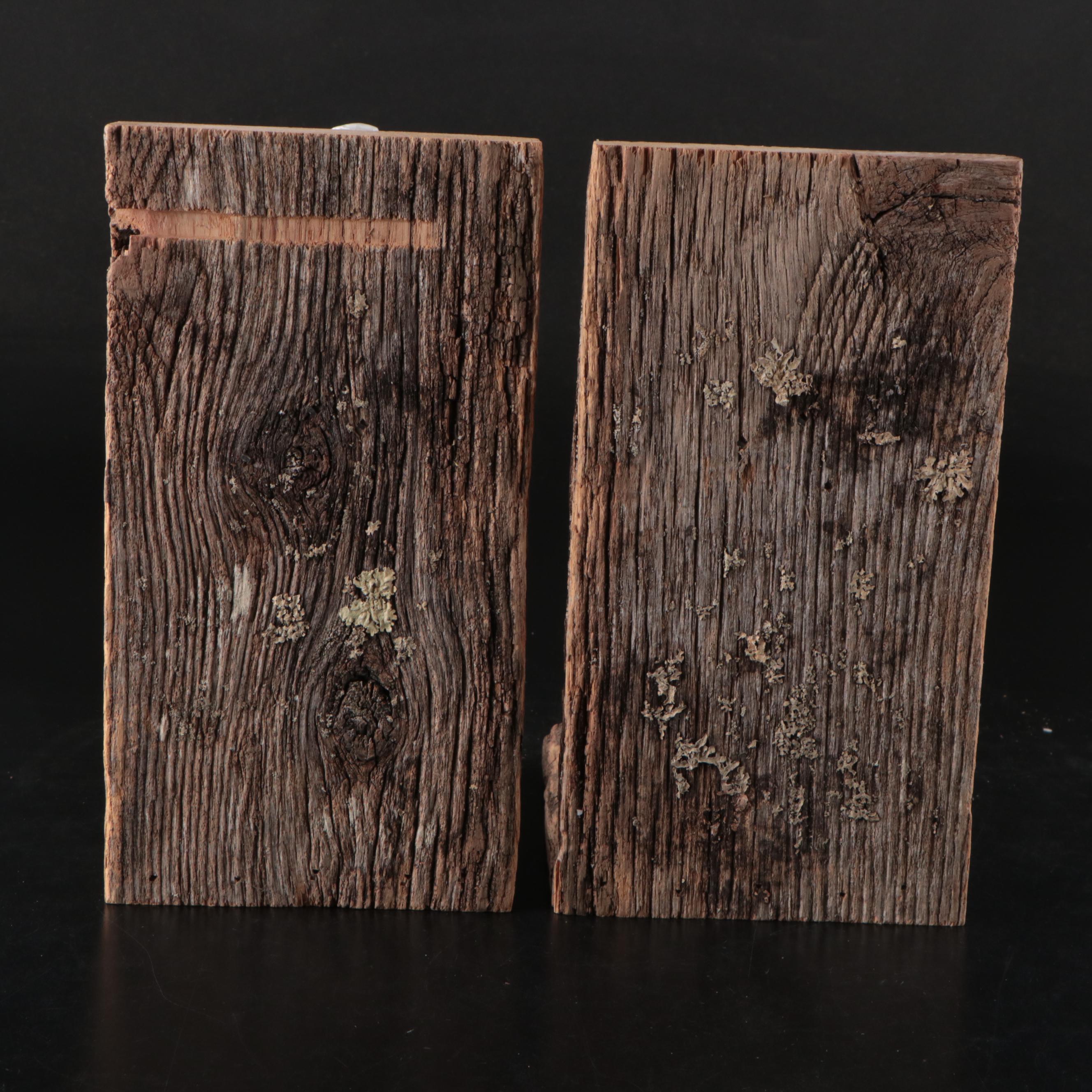 Lauren Radvansky "Equine" Bookends and Wall Hanging