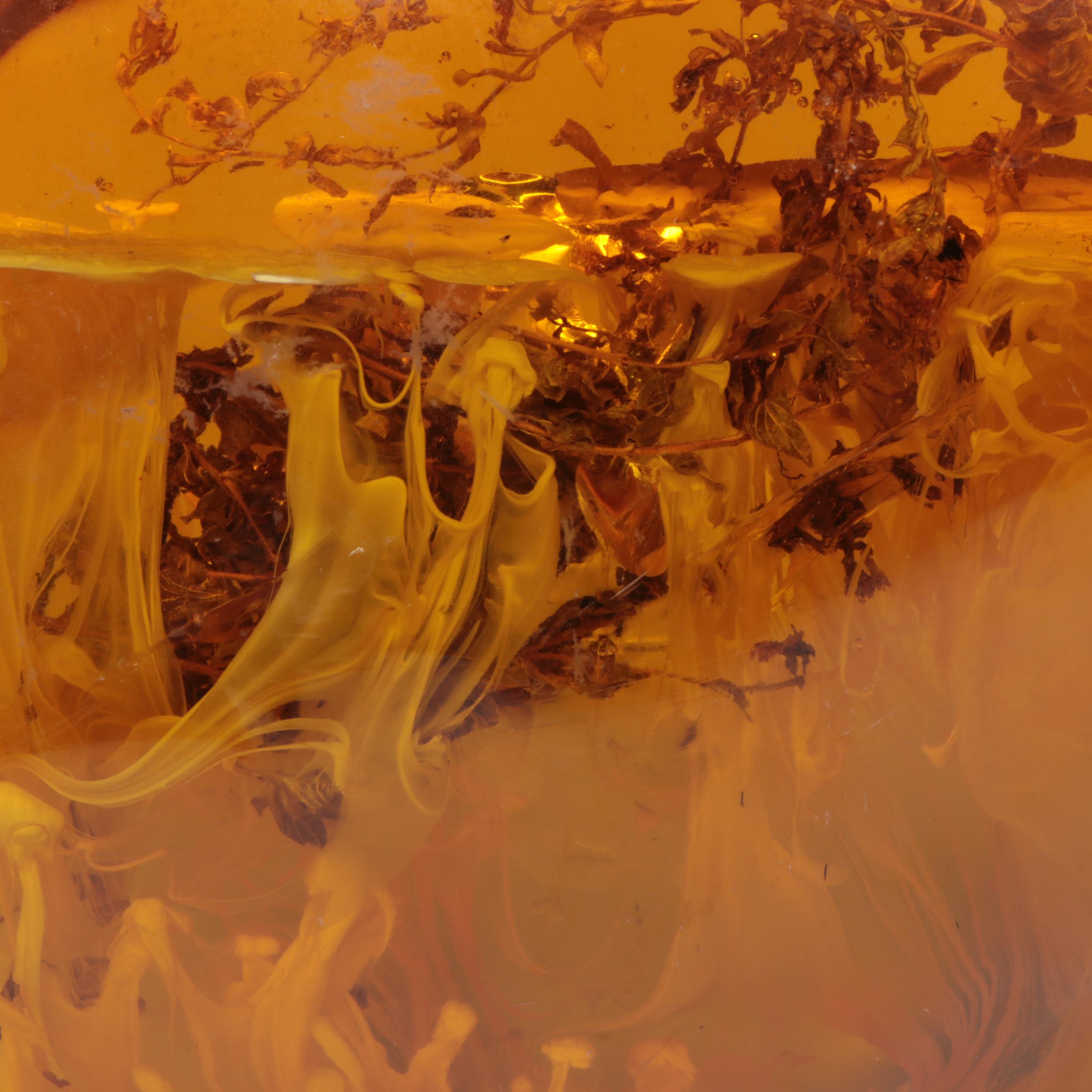 Amber Colored Resin Sculpture with Entrapped Plant Specimens