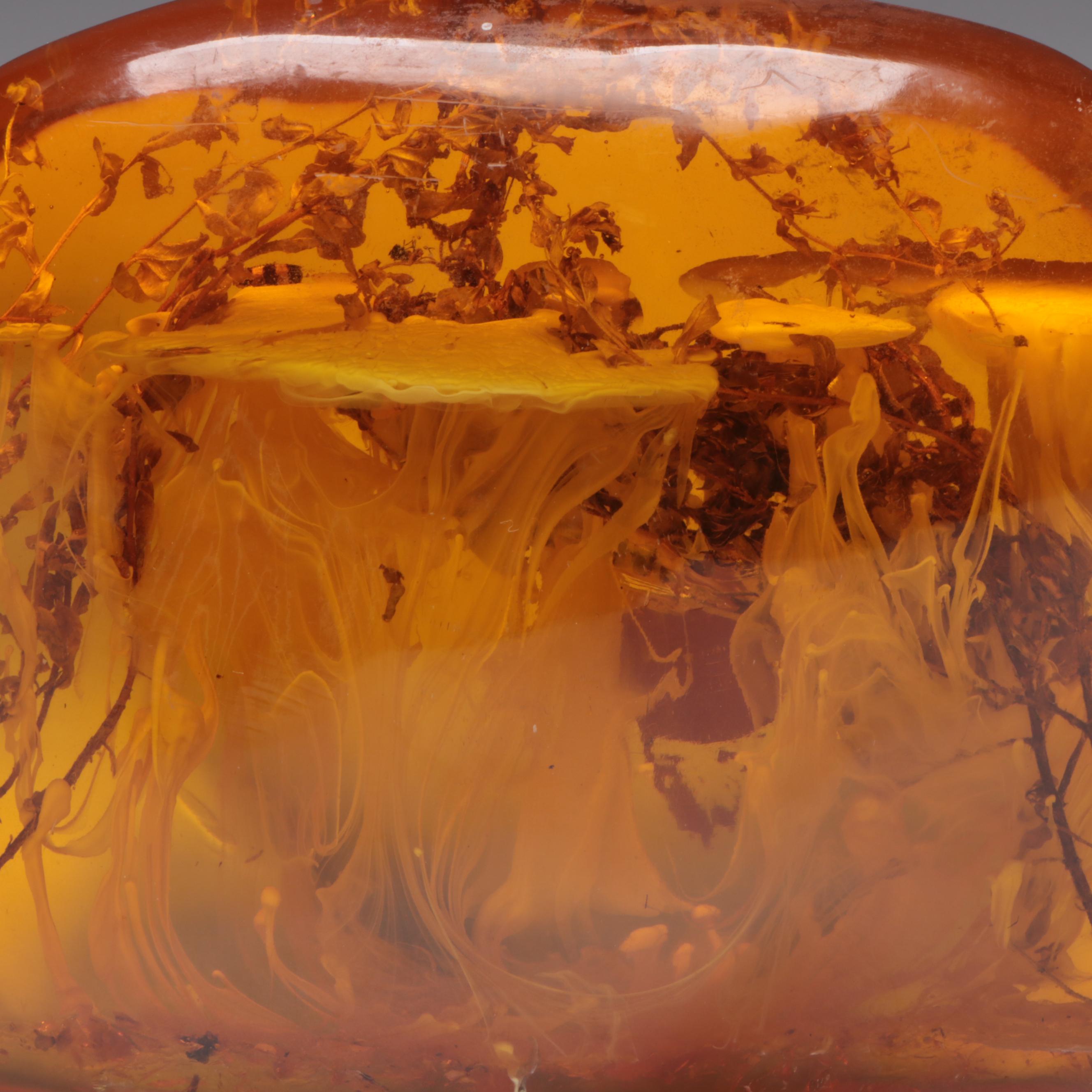 Amber Colored Resin Sculpture with Entrapped Plant Specimens