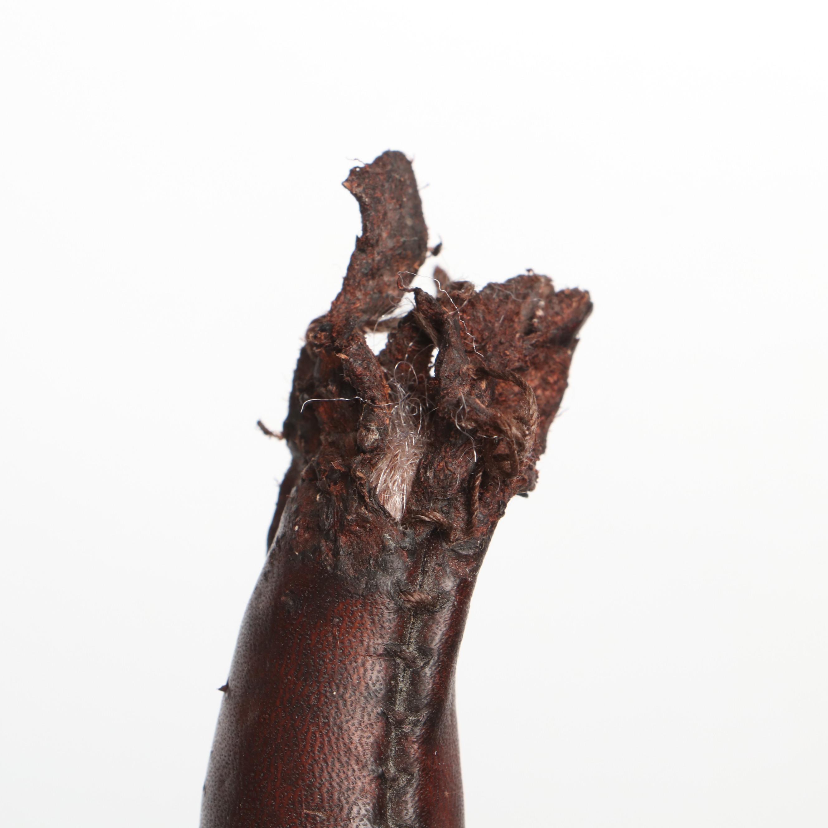 Omersa & Co. Standard Leather Dachshund Footstool