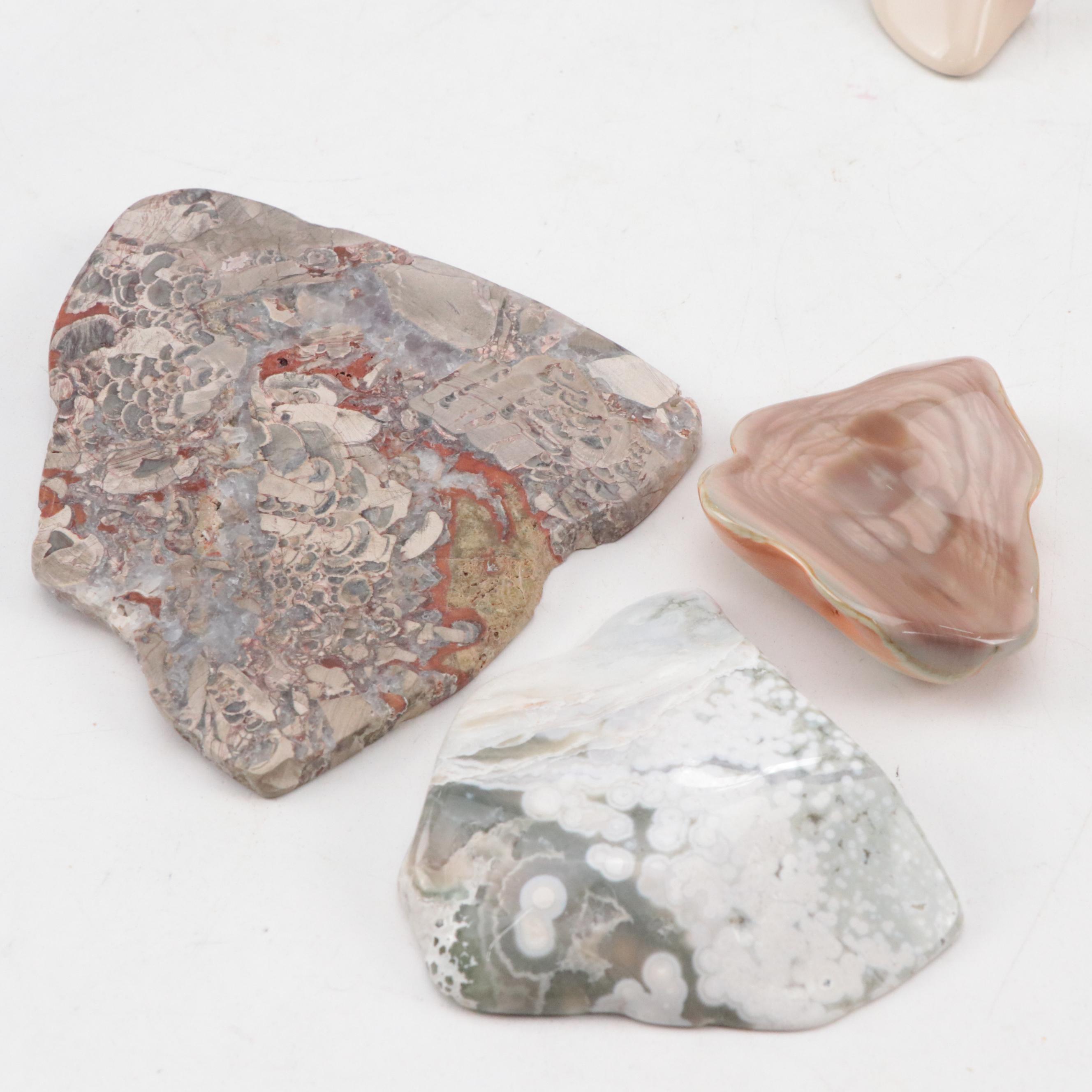 Chrysoprase, Imperial, Mushroom, Ocean Wave and More Jasper Specimens