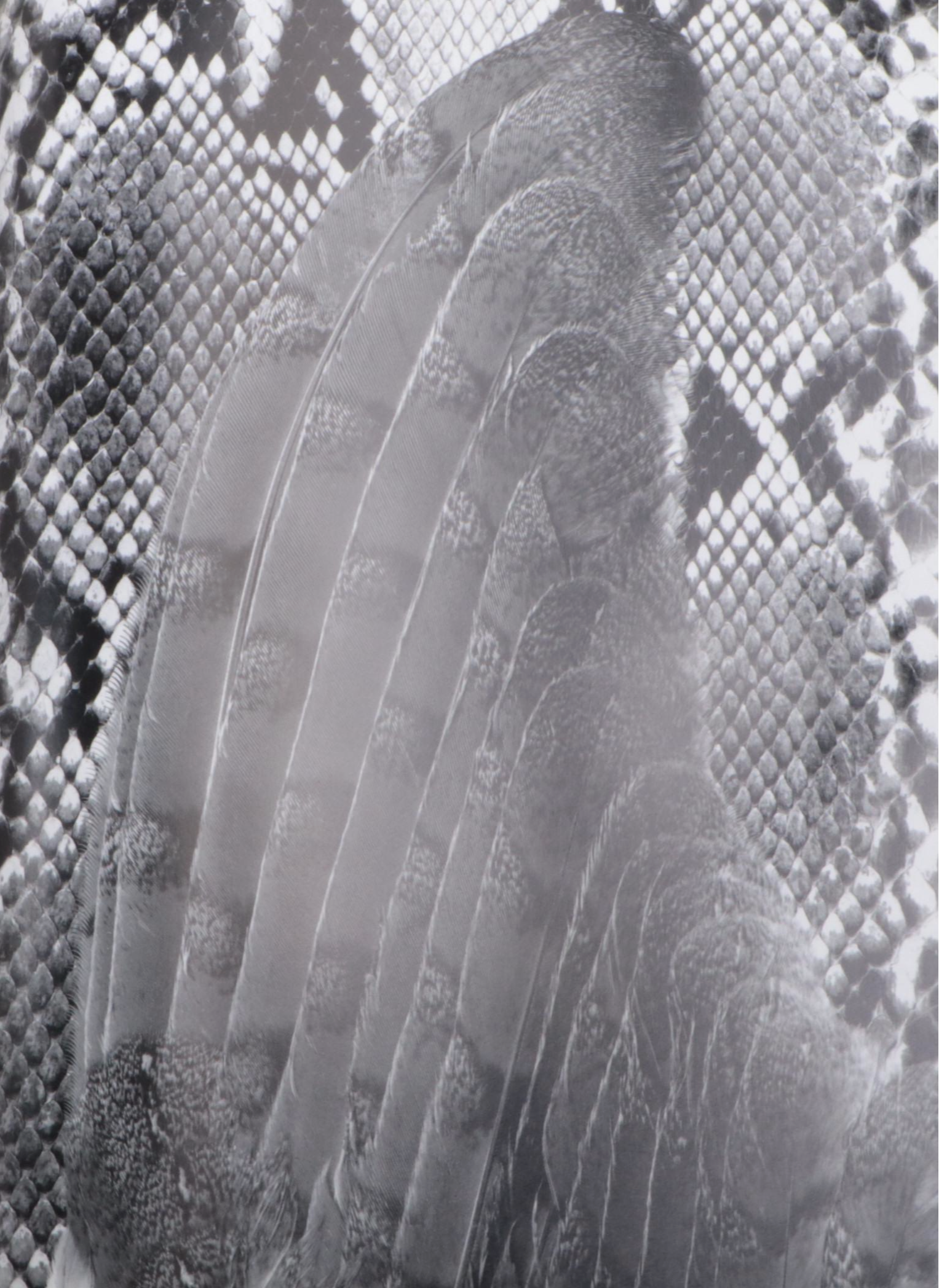 "Broken Spirits" by Eberhard Grames, 1995