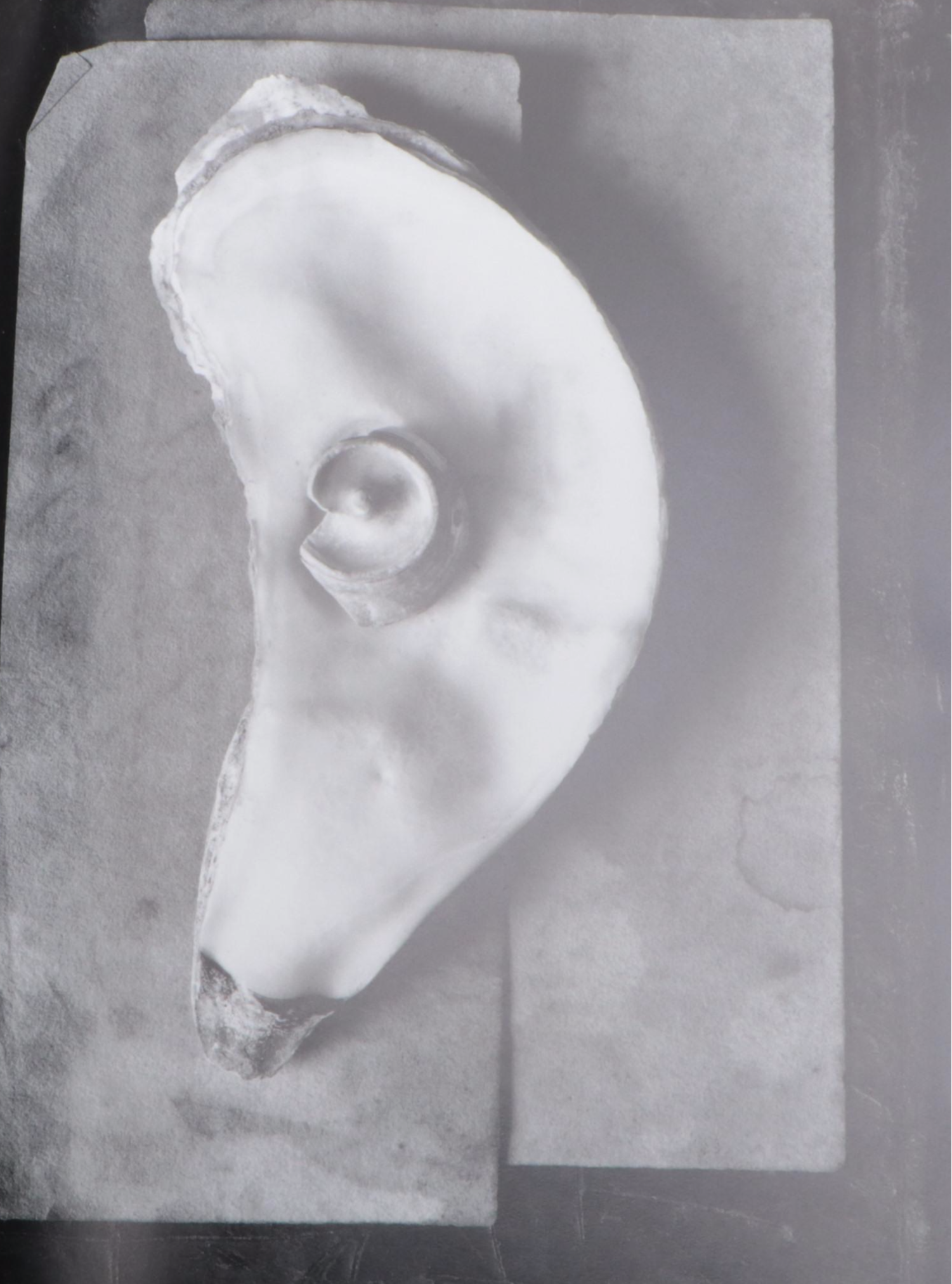 "Broken Spirits" by Eberhard Grames, 1995